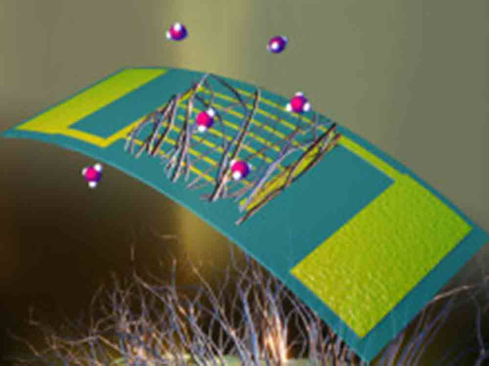 Bio Nanodrähte erschnüffeln Krankheiten, manipulierte Bakterien von Forschern der University of Massachusetts Amherst Amherst sollen Diagnostik revolutionieren Bio Nanodrähte erschnüffeln Krankheiten, manipulierte Bakterien von Forschern der University of Massachusetts Amherst Amherst sollen Diagnostik revolutionieren