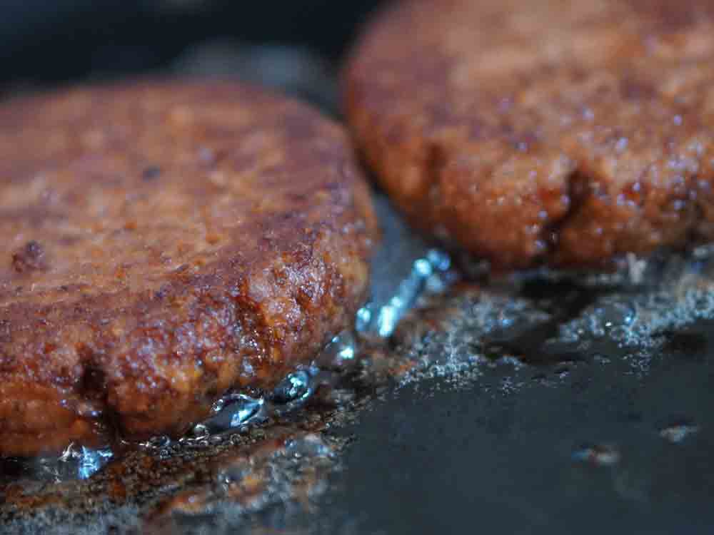 Bericht an Bundestag betont Potenziale von zellkultiviertem Fleisch – Pro Veg fordert mehr staatliche Investitionen Bericht an Bundestag betont Potenziale von zellkultiviertem Fleisch – Pro Veg fordert mehr staatliche Investitionen