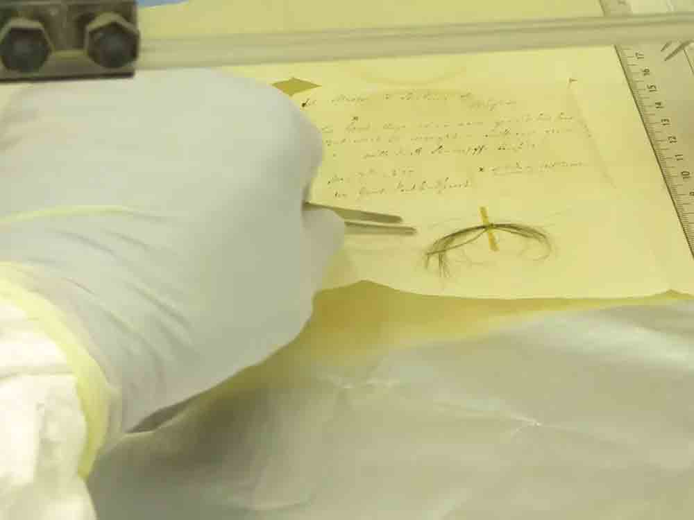 Beethovens Erbgut, Forschungsteam entschlüsselt Genom des Komponisten anhand 5 genetisch übereinstimmender Haarlocken Beethovens Erbgut, Forschungsteam entschlüsselt Genom des Komponisten anhand 5 genetisch übereinstimmender Haarlocken