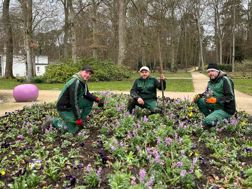 Bunter Blütenteppich für die Gartenschau Bad Lippspringe, Gärtner pflanzen etwa 90.000 Frühjahrsblumen in der 30 Hektar großen Parkanlage Bunter Blütenteppich für die Gartenschau Bad Lippspringe, Gärtner pflanzen etwa 90.000 Frühjahrsblumen in der 30 Hektar großen Parkanlage