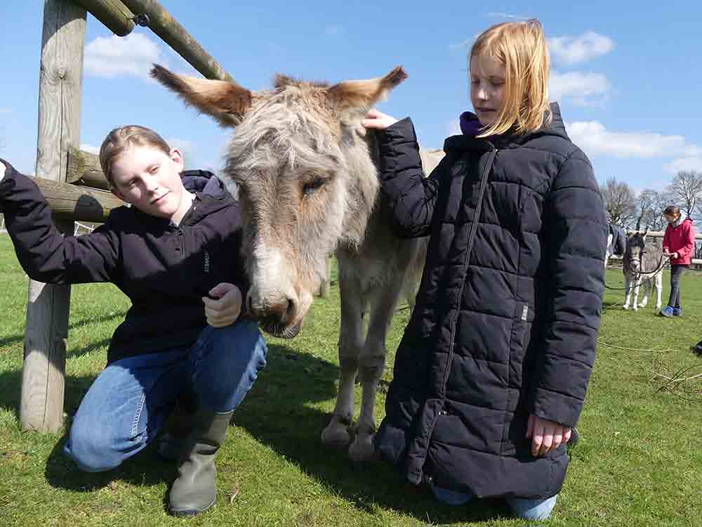Tiere fühlen, Tiere wollen leben! Tierschutzferienspiele 2023 bei Achtung für Tiere in Varensell Tiere fühlen, Tiere wollen leben! Tierschutzferienspiele 2023 bei Achtung für Tiere in Varensell