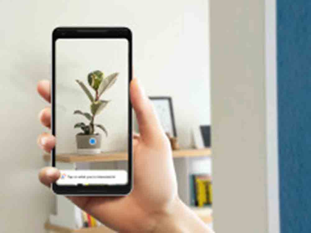 Pflanzenerkennung: Apps oft wenig treffsicher, niedrige Quote bei der korrekten Bestimmung kann für Nutzer leicht zu Vergiftungen führen Pflanzenerkennung: Apps oft wenig treffsicher, niedrige Quote bei der korrekten Bestimmung kann für Nutzer leicht zu Vergiftungen führen