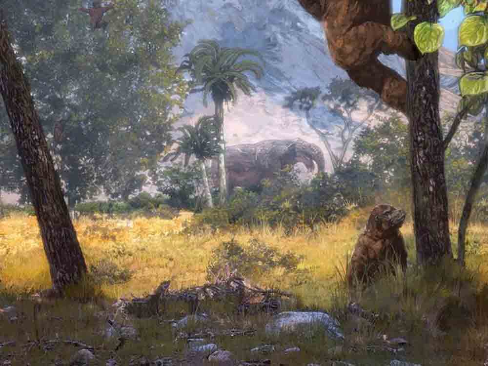 Afrikas Savannen sind 10 Millionen Jahre älter – weltweit ältester fossiler Nachweis für C 4 Gräser erbracht Afrikas Savannen sind 10 Millionen Jahre älter – weltweit ältester fossiler Nachweis für C 4 Gräser erbracht