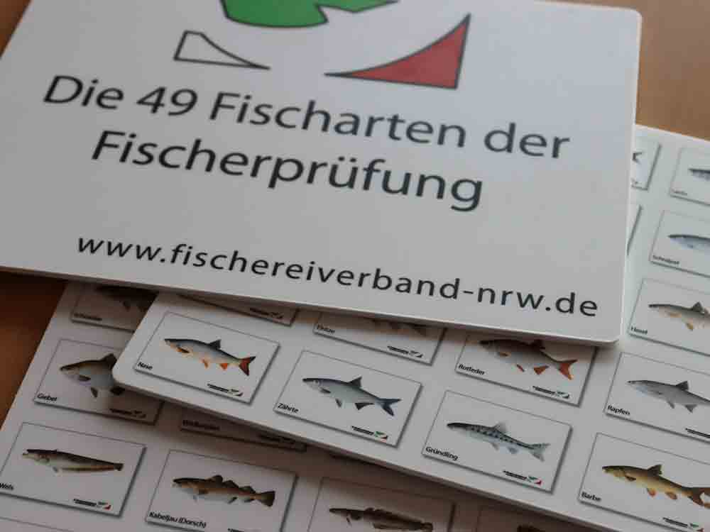 Kreis Gütersloh, nächste Fischereiprüfungen im Herbst 2023, 155 Kandidaten haben bestanden Kreis Gütersloh, nächste Fischereiprüfungen im Herbst 2023, 155 Kandidaten haben bestanden