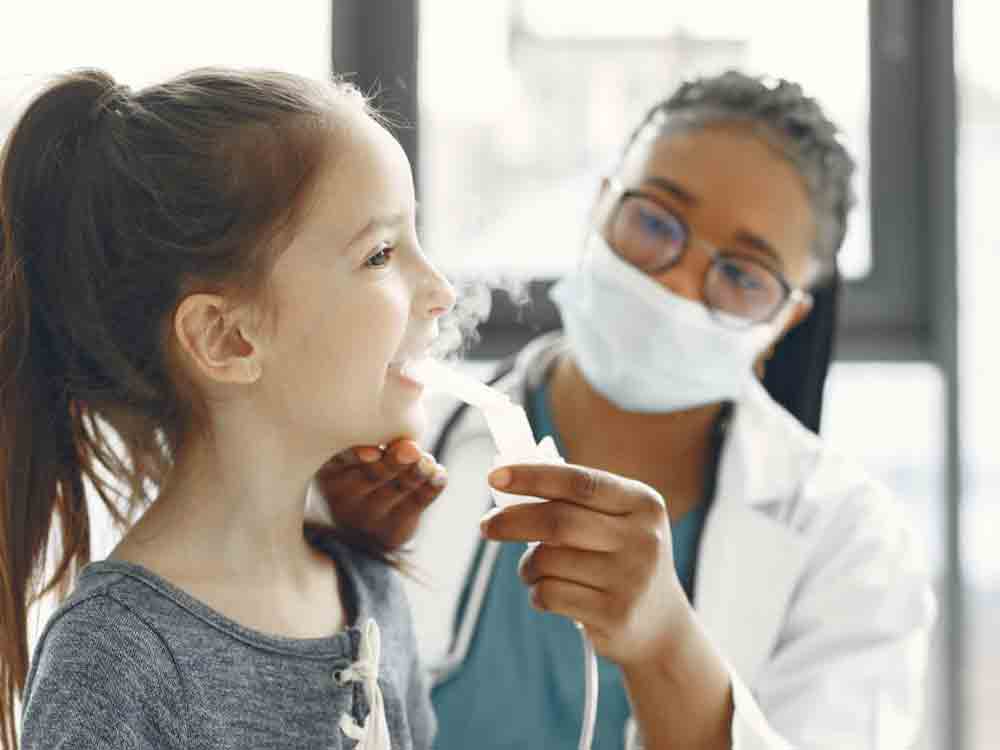 Wie Vitamin D 3 bei allergischem Asthma hilft, Friedrich Alexander Universität Erlangen Nürnberg Wie Vitamin D 3 bei allergischem Asthma hilft, Friedrich Alexander Universität Erlangen Nürnberg