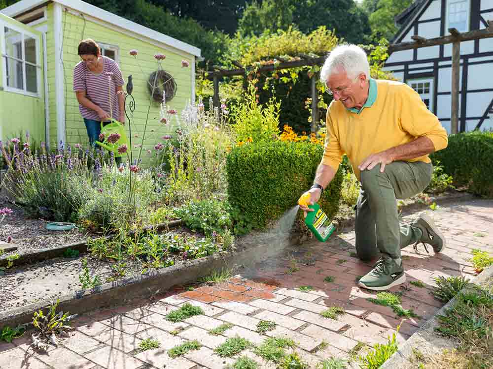 Gütsel Lesertelefon, Servicethema Garten, Was tun, wenn Unkraut den Garten im Griff hat? Giersch, Vogelmiere, Schachtelhalm & Co. am 4. Mai 2023