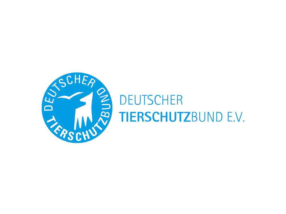 Klientelpolitik und Panikmache in Debatte um Wolfsabschüsse, »EU Recht gilt auch für Bayern und Markus Söder«
