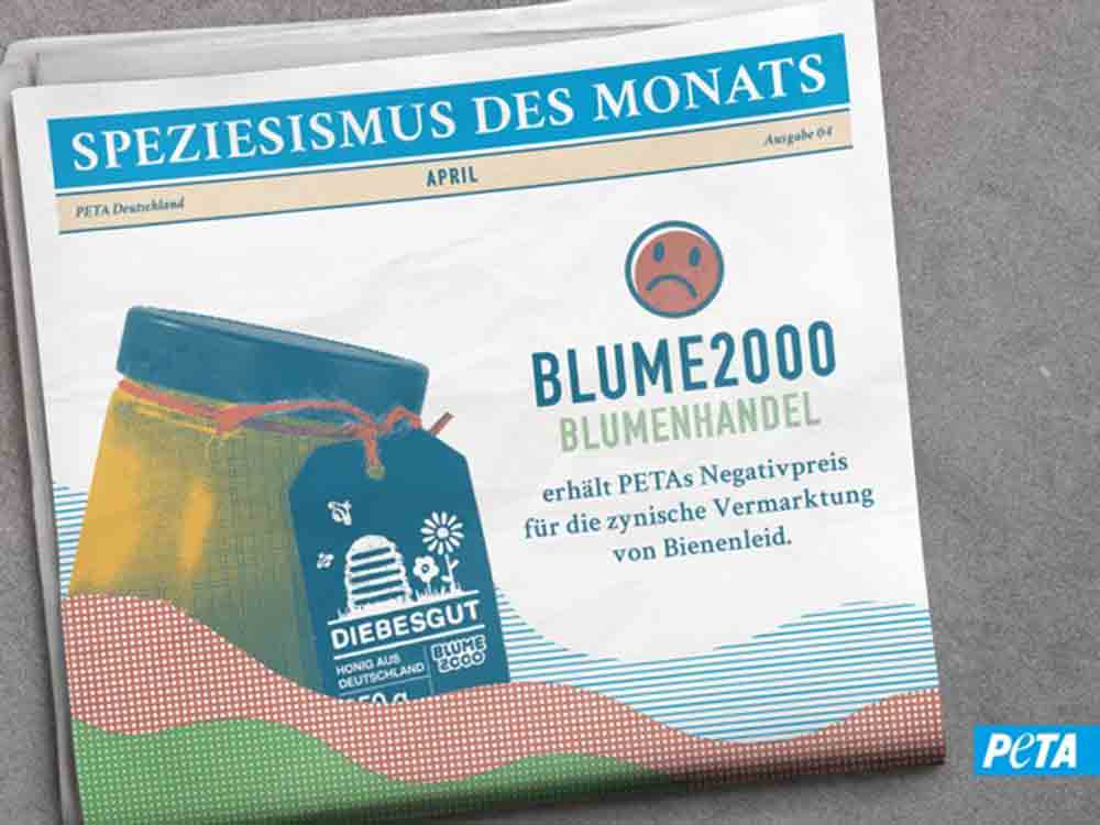 Zynisches Marketing: Bienenhonig »Diebesgut«, Blume 2000 erhält Petas Negativpreis »Speziesismus des Monats« Zynisches Marketing: Bienenhonig »Diebesgut«, Blume 2000 erhält Petas Negativpreis »Speziesismus des Monats«