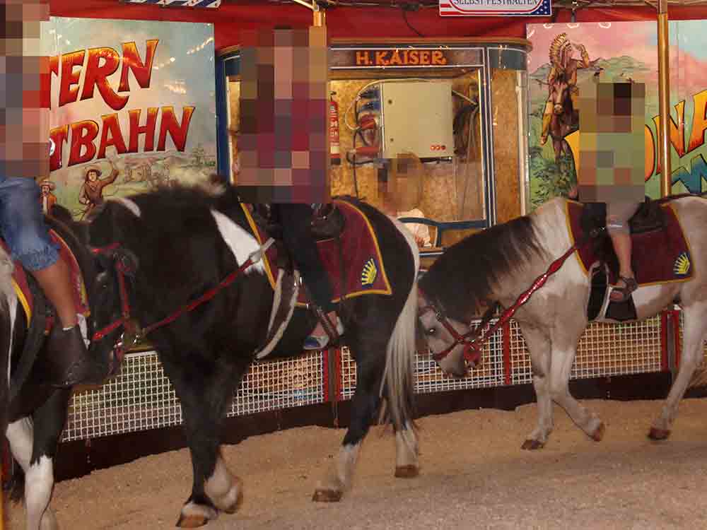 Fachaufsichtsbeschwerde gegen Veterinäramt Gütersloh, Achtung für Tiere kritisiert Umgang mit Ponyreitrondells Fachaufsichtsbeschwerde gegen Veterinäramt Gütersloh, Achtung für Tiere kritisiert Umgang mit Ponyreitrondells