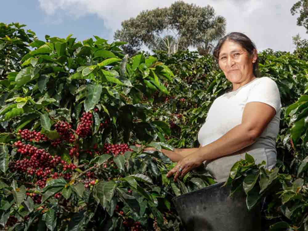 Fairtrade wächst trotz turbulenter Zeiten, Jahresbericht 2022/2023 von Fairtrade Deutschland Fairtrade wächst trotz turbulenter Zeiten, Jahresbericht 2022/2023 von Fairtrade Deutschland