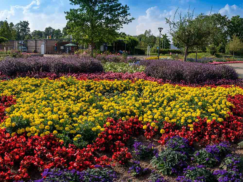 Führungen ermöglichen Blick über den Gartenzaun, Gartenschaupark RIetberg beteiligt sich am »Tag der Gärten und Parks«, 3. und 4. Juni 2023 Führungen ermöglichen Blick über den Gartenzaun, Gartenschaupark RIetberg beteiligt sich am »Tag der Gärten und Parks«, 3. und 4. Juni 2023