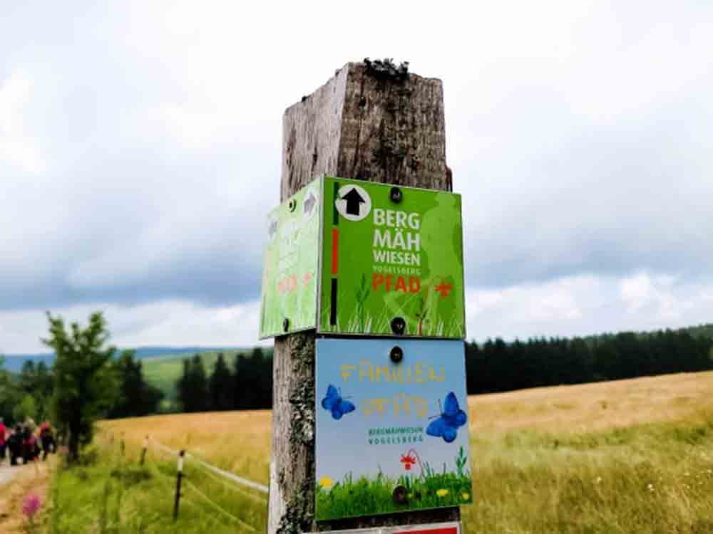 Vogelsbergkreis, neuer Familien Pfad auf den Bergmähwiesen eröffnet: Wo Kinder das Zuhause von Haselmaus, Teufelskralle & Co. entdecken können