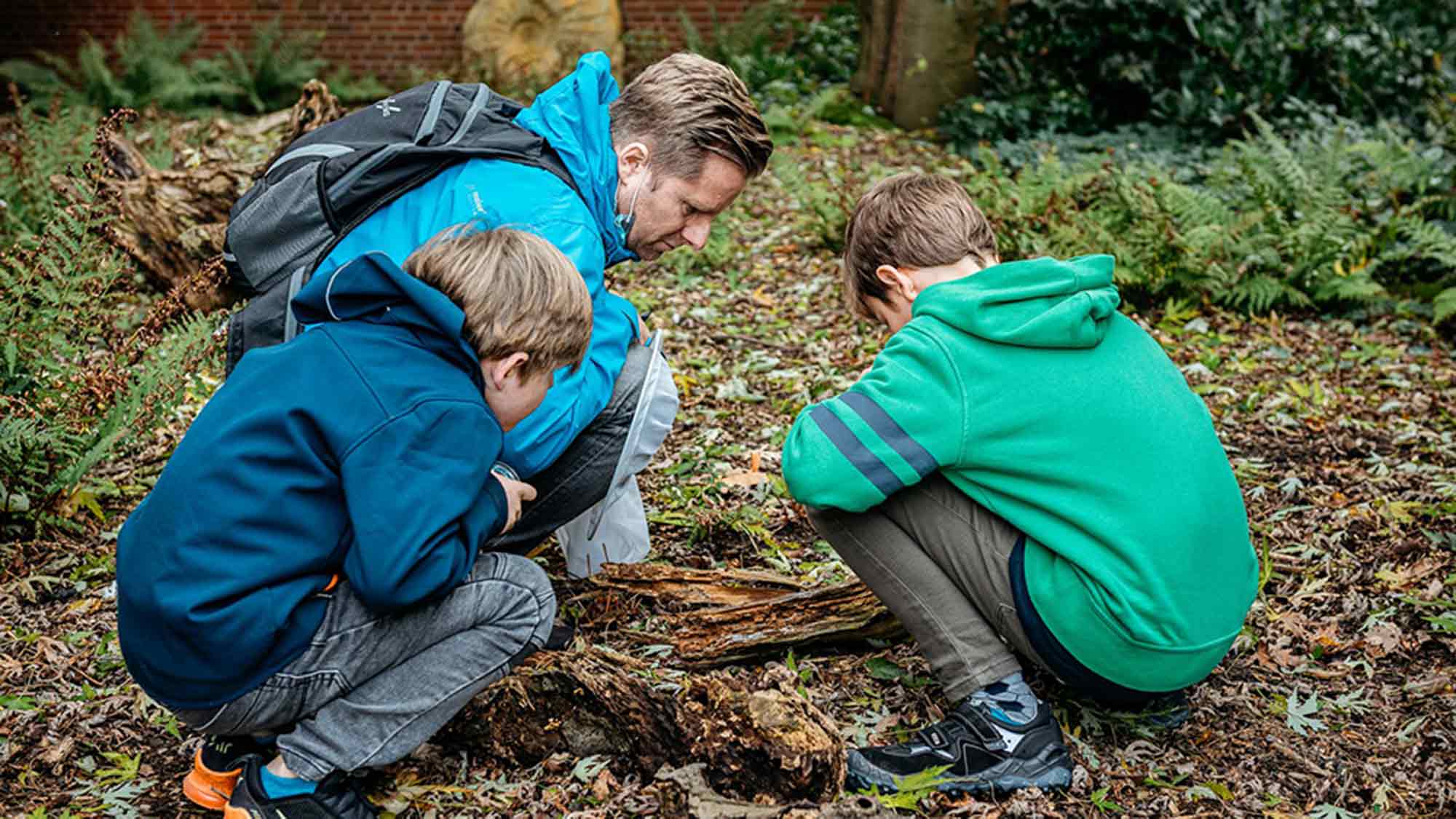 LWL Museum für Naturkunde Münster: den Krabblern und Fliegern auf die Spur, Workshop am 5. August 2023 LWL Museum für Naturkunde Münster: den Krabblern und Fliegern auf die Spur, Workshop am 5. August 2023