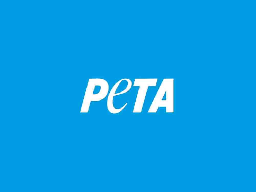 2 Sterne für die Mensa »Campus Bielefeld« des Studentenwerks Bielefeld, Peta zeichnet die vegan freundlichsten Mensen Deutschlands 2023 aus 2 Sterne für die Mensa »Campus Bielefeld« des Studentenwerks Bielefeld, Peta zeichnet die vegan freundlichsten Mensen Deutschlands 2023 aus