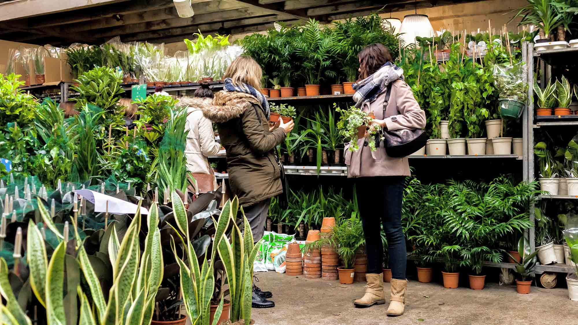 »Pflanzen für Alle«, Hechelei Bielefeld, schöne Pflanzen zu kleinen Preisen, 14. bis 16. September 2023 »Pflanzen für Alle«, Hechelei Bielefeld, schöne Pflanzen zu kleinen Preisen, 14. bis 16. September 2023