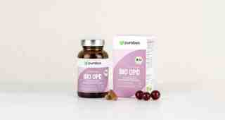 The NOW of Gütersloh
