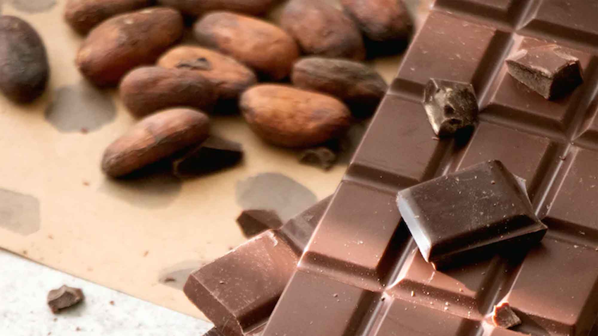 Fun Facts Schokolade: von der Kakaobohne als Währung, 1. Oktober ein besonderer Tag für Schokoladenliebhaber Fun Facts Schokolade: von der Kakaobohne als Währung, 1. Oktober ein besonderer Tag für Schokoladenliebhaber