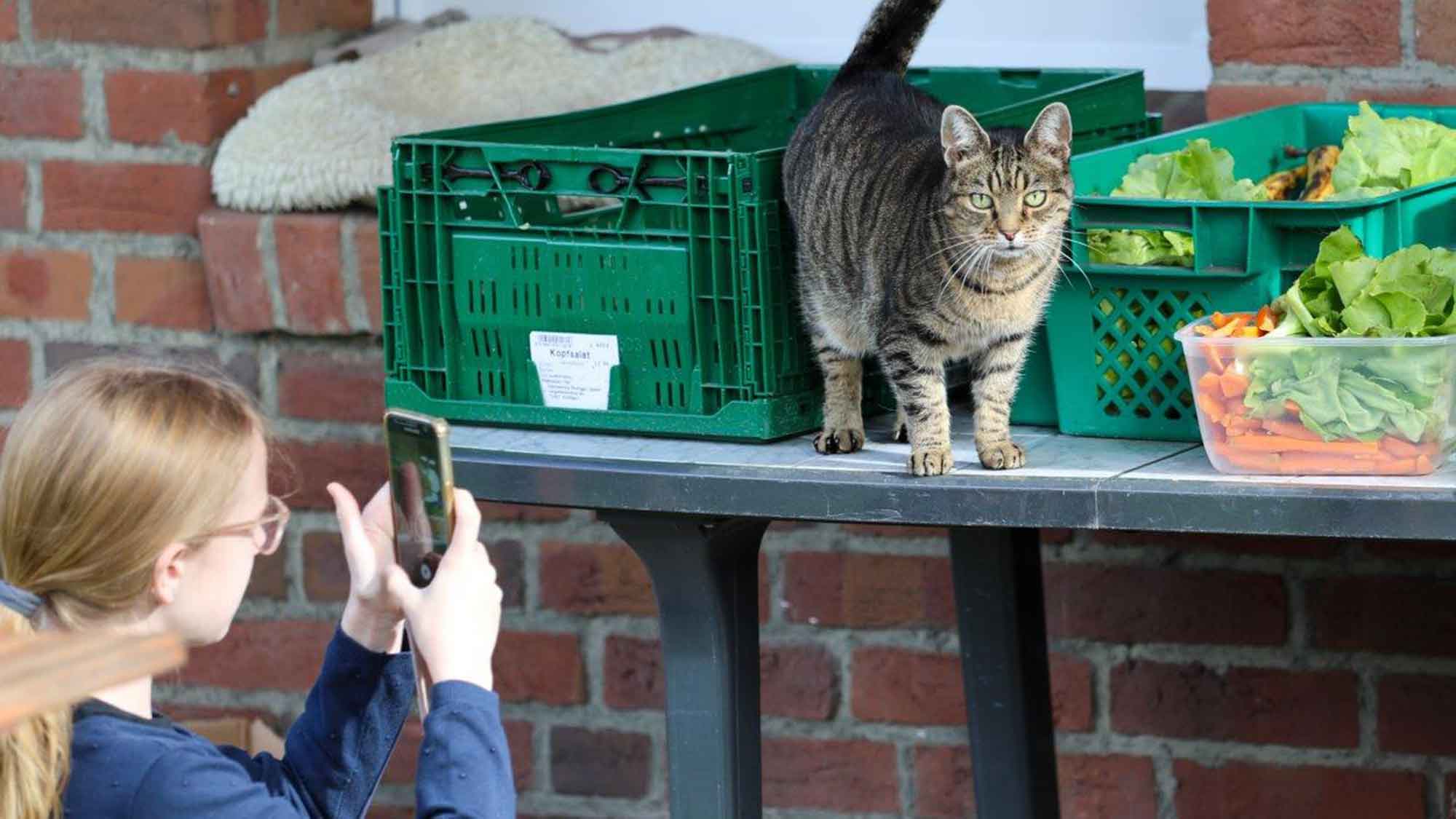 Achtung für Tiere Rietberg (Kreis Gütersloh): Tolle Tierfilme drehen, das kann doch jeder! Achtung für Tiere Rietberg (Kreis Gütersloh): Tolle Tierfilme drehen, das kann doch jeder!