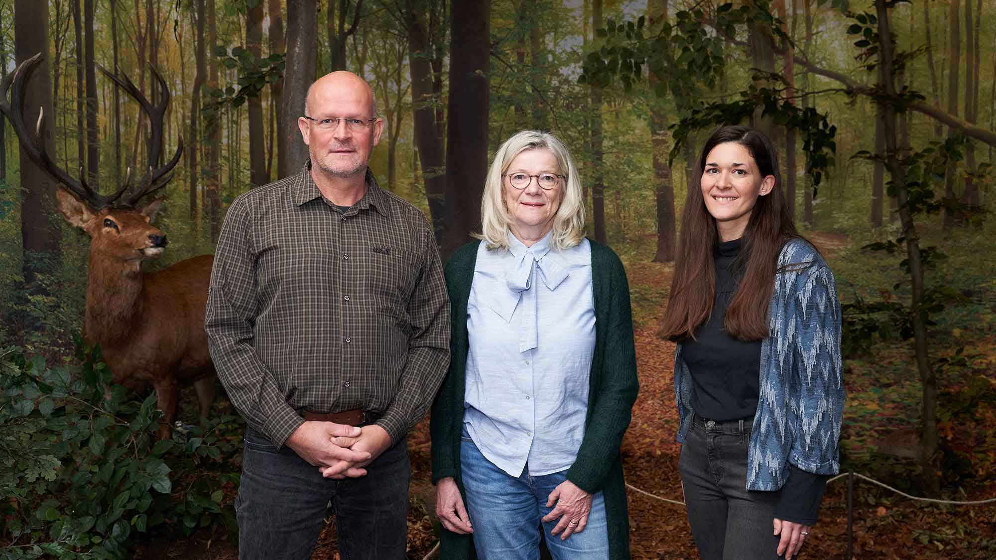 Neue Sonderausstellung »Wald« im Naturkundemuseum Kassel, 11. November 2023 bis 8. September 2024 Neue Sonderausstellung »Wald« im Naturkundemuseum Kassel, 11. November 2023 bis 8. September 2024