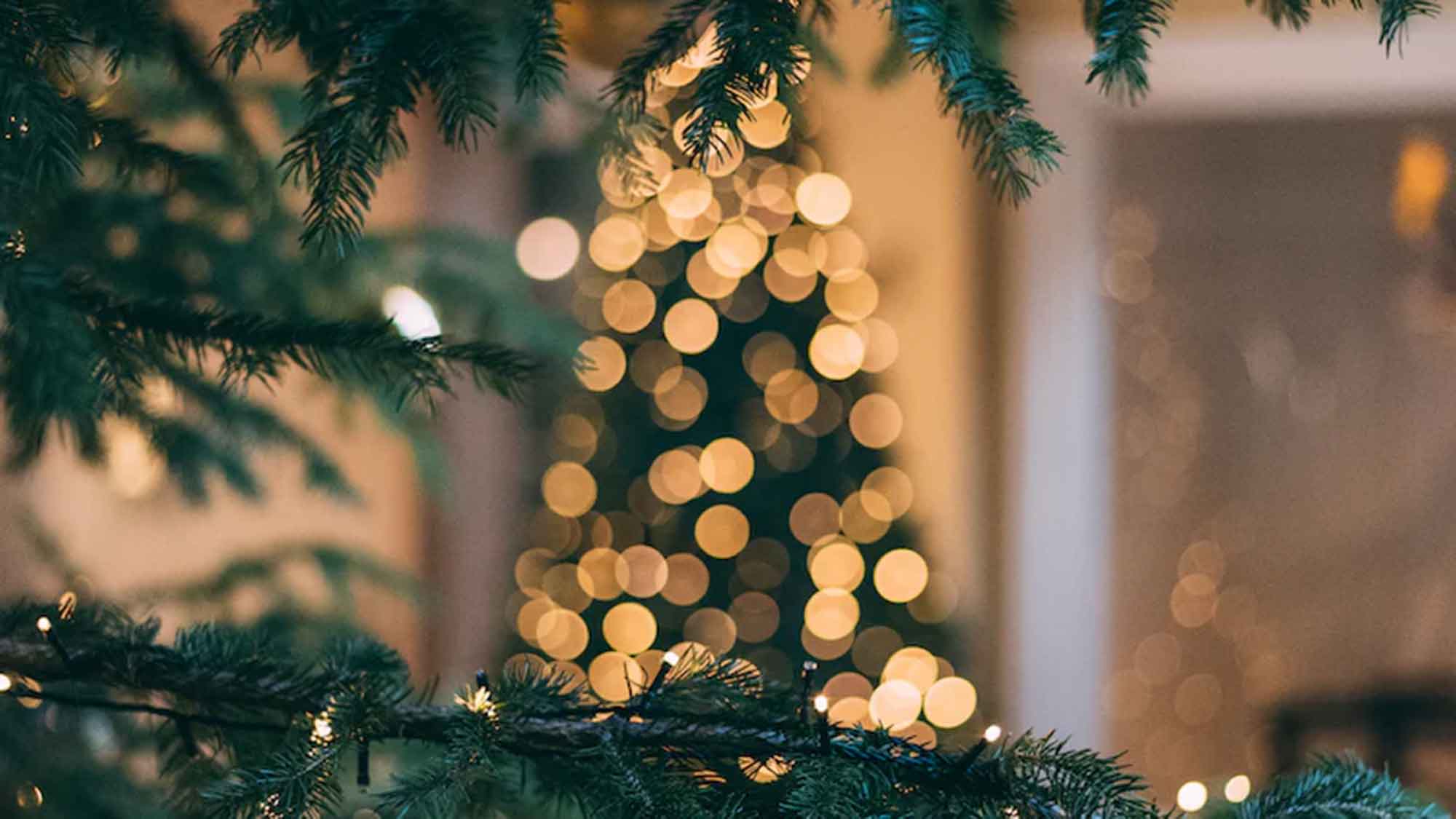 Volkshochschule Gütersloh: der Weihnachtsmarkt in Châteauroux, Onlinebesuch am 12. Dezember 2023 Volkshochschule Gütersloh: der Weihnachtsmarkt in Châteauroux, Onlinebesuch am 12. Dezember 2023