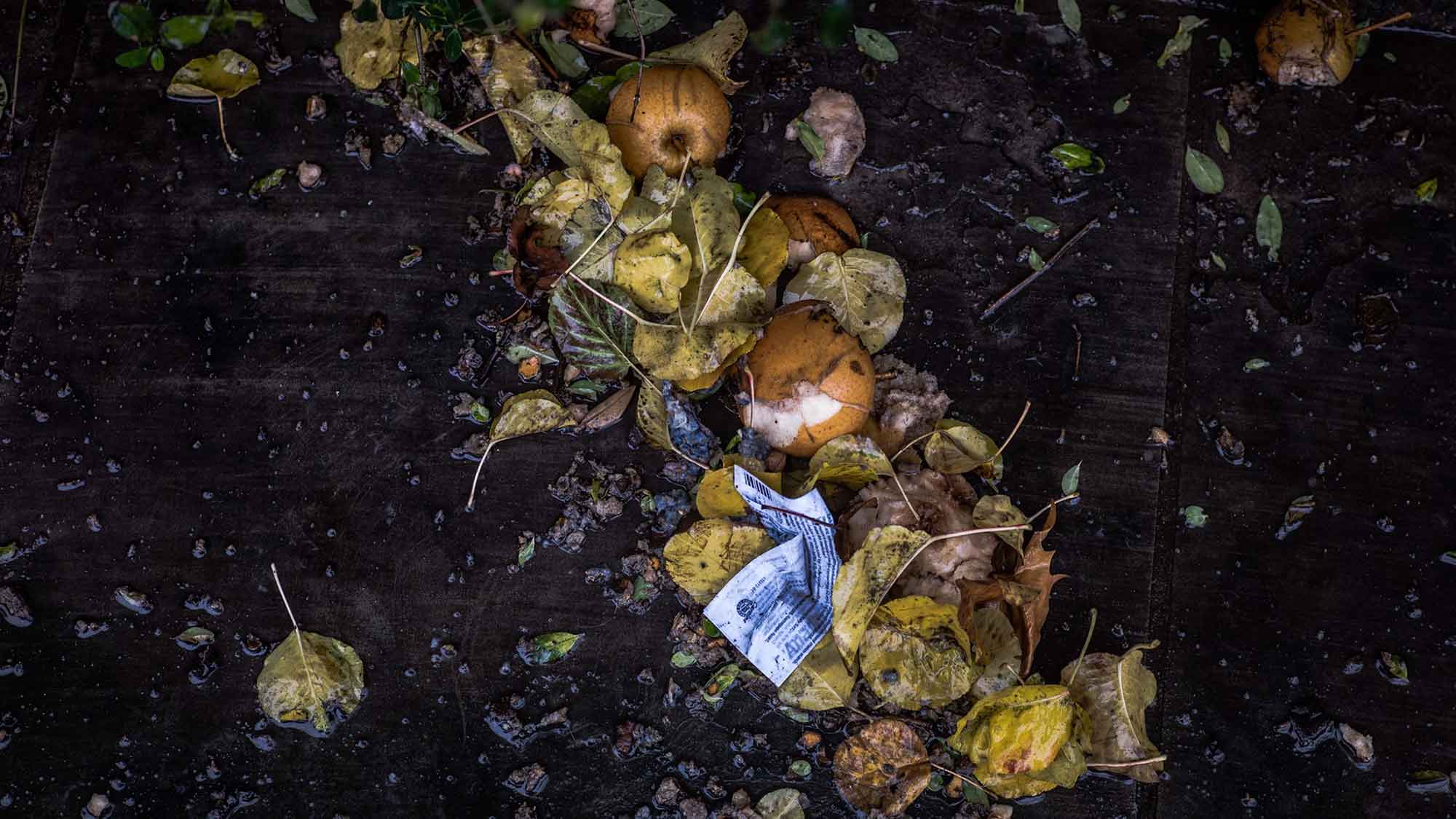 Zusammen gegen Food Waste: Iss nachhaltiger. Iss smarter – mit dem #Thermomix und »Too Good To Go« Zusammen gegen Food Waste: Iss nachhaltiger. Iss smarter – mit dem #Thermomix und »Too Good To Go«