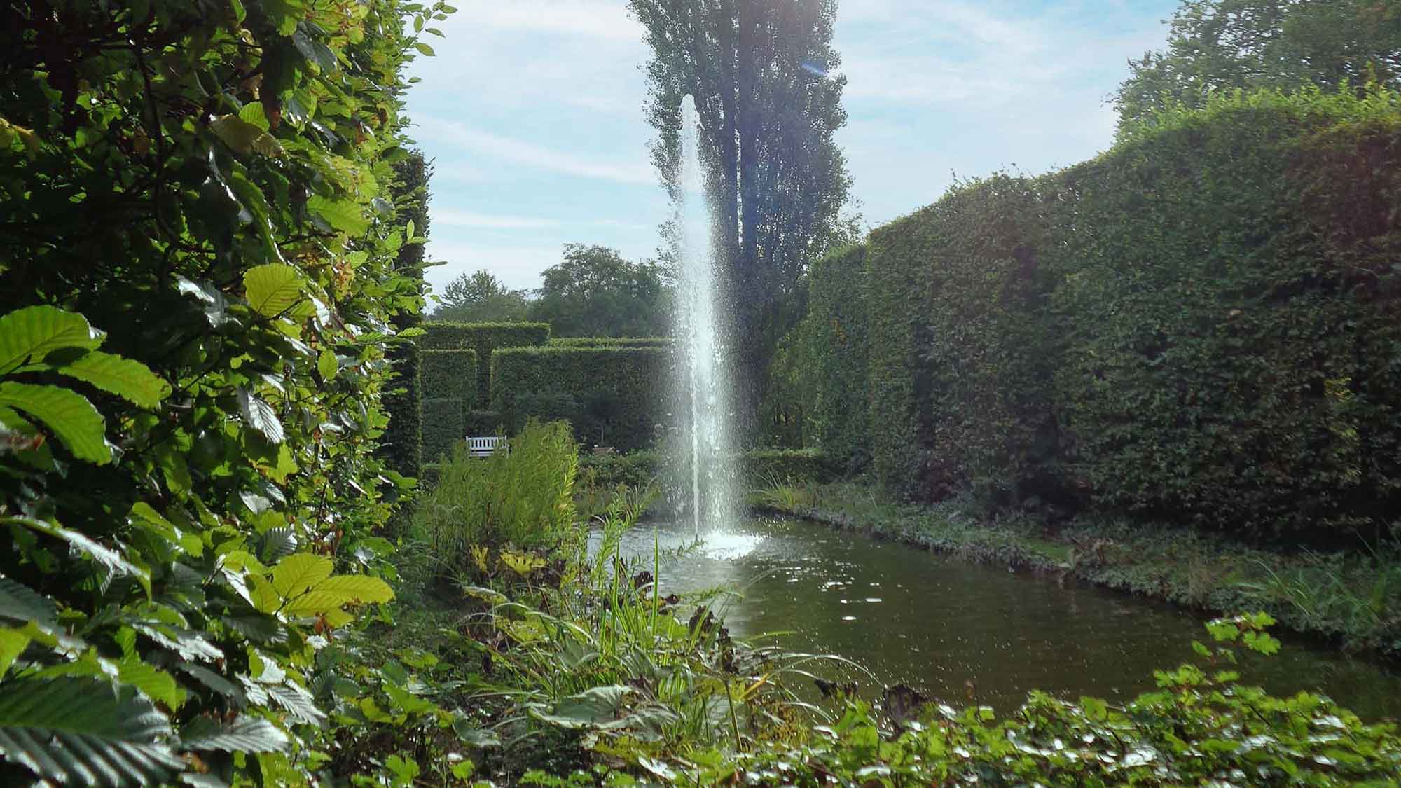 Volkshochschule Gütersloh: VHS Reihe »Lebendige Gärten in Gütersloh«, Gartenkunst im Stadtpark und Botanischen Garten, 5. März 2024 Volkshochschule Gütersloh: VHS Reihe »Lebendige Gärten in Gütersloh«, Gartenkunst im Stadtpark und Botanischen Garten, 5. März 2024