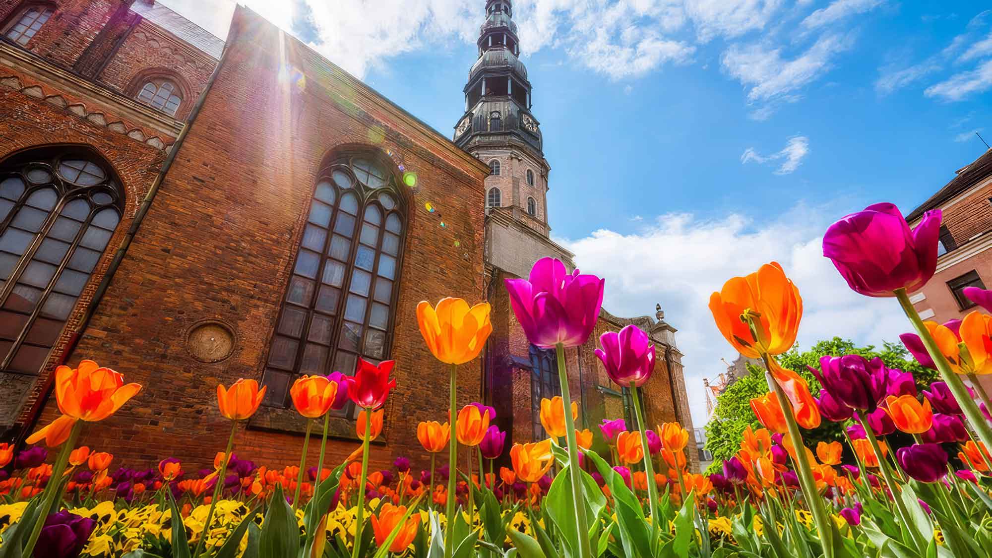 Von Palmsonntag bis zum Abschluss der Osterwoche überträgt das ZDF 3 Gottesdienste und zeigt 5 weitere Sendungen, die sich mit Christentum und Glaubensthemen beschäftigen Von Palmsonntag bis zum Abschluss der Osterwoche überträgt das ZDF 3 Gottesdienste und zeigt 5 weitere Sendungen, die sich mit Christentum und Glaubensthemen beschäftigen
