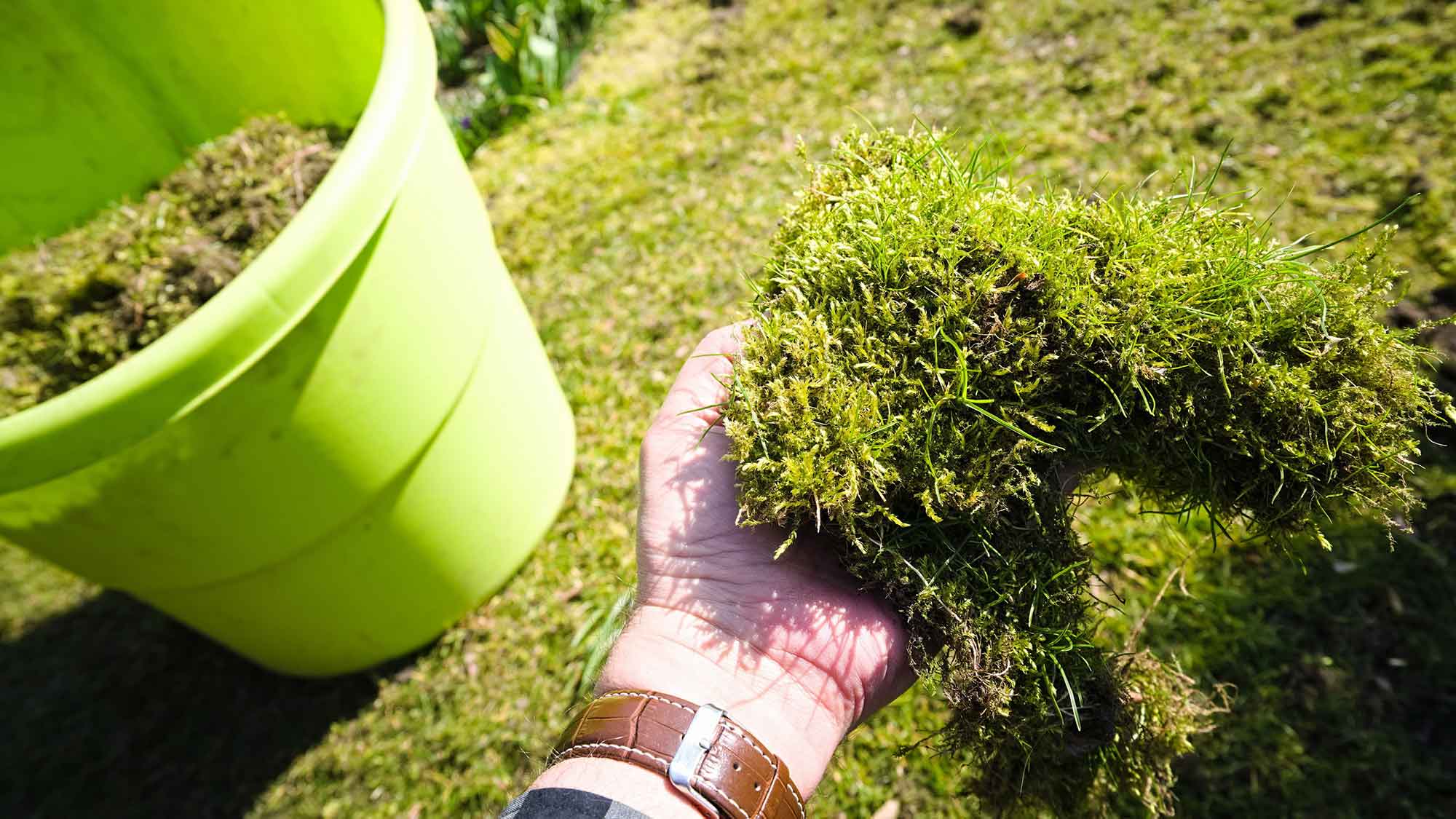 Gütsel Lesertelefon am 21. März 2024: Servicethema Garten – Moos, Lücken, Filz: Wie rette ich meinen Rasen? Rasenpflege im Frühjahr – Gartenprofis am Lesertelefon Gütsel Lesertelefon am 21. März 2024: Servicethema Garten – Moos, Lücken, Filz: Wie rette ich meinen Rasen? Rasenpflege im Frühjahr – Gartenprofis am Lesertelefon