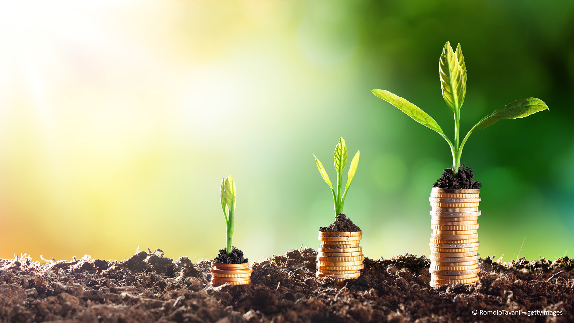 EU Taxonomie: »vdpResearch« und Drees & Sommer präsentieren Top 15 Prozent Kriterien für internationale Immobilien EU Taxonomie: »vdpResearch« und Drees & Sommer präsentieren Top 15 Prozent Kriterien für internationale Immobilien