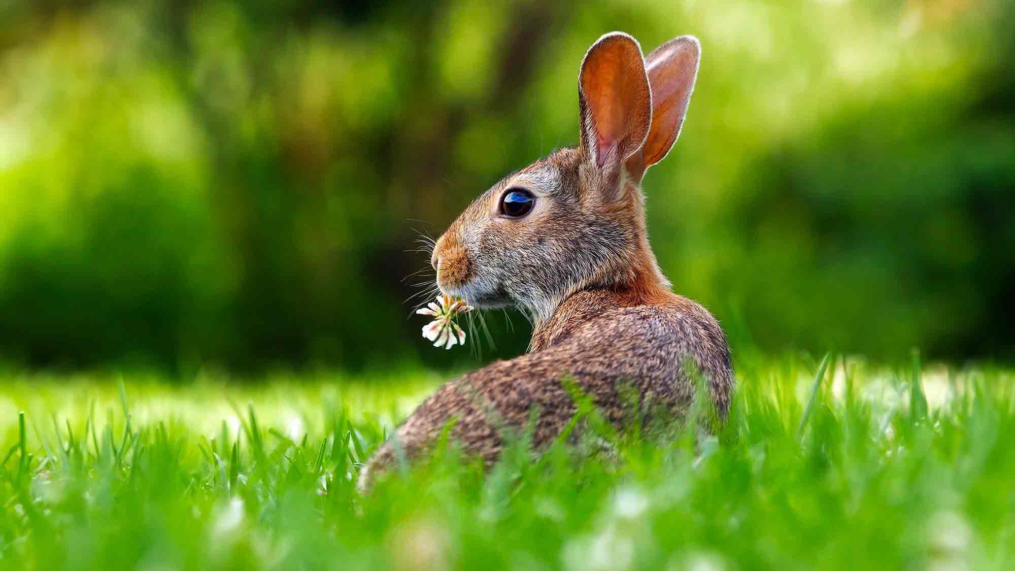 Osterferien: Der Kartenvorverkauf des Kulturbüros Hamm ist vom 25. März bis 1. April 2024 geschlossen
