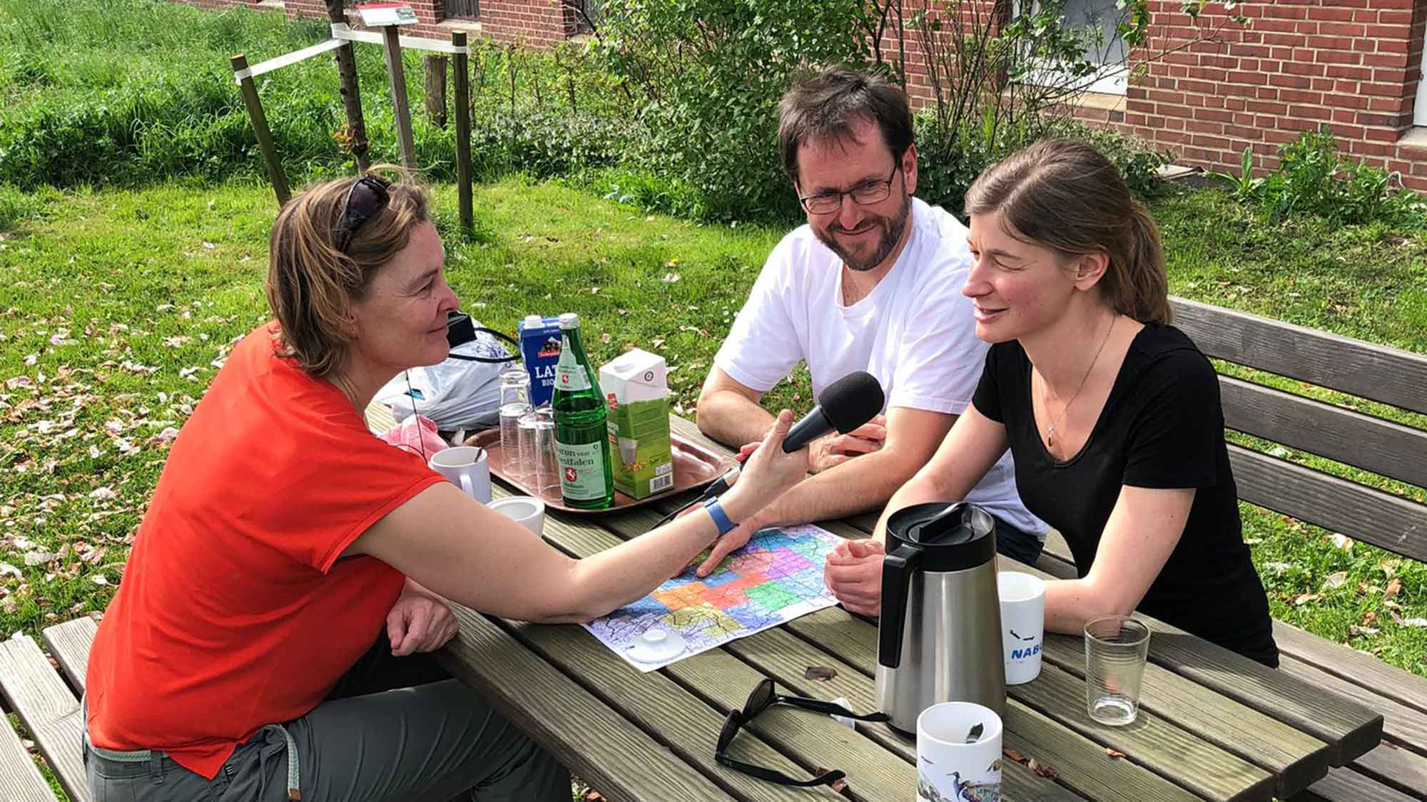 Neue Folge der &raquo;Förderbande&laquo; über Kiebitze im Münsterland, ympathischer Flugkünstler im Podcast der NRW Stiftung