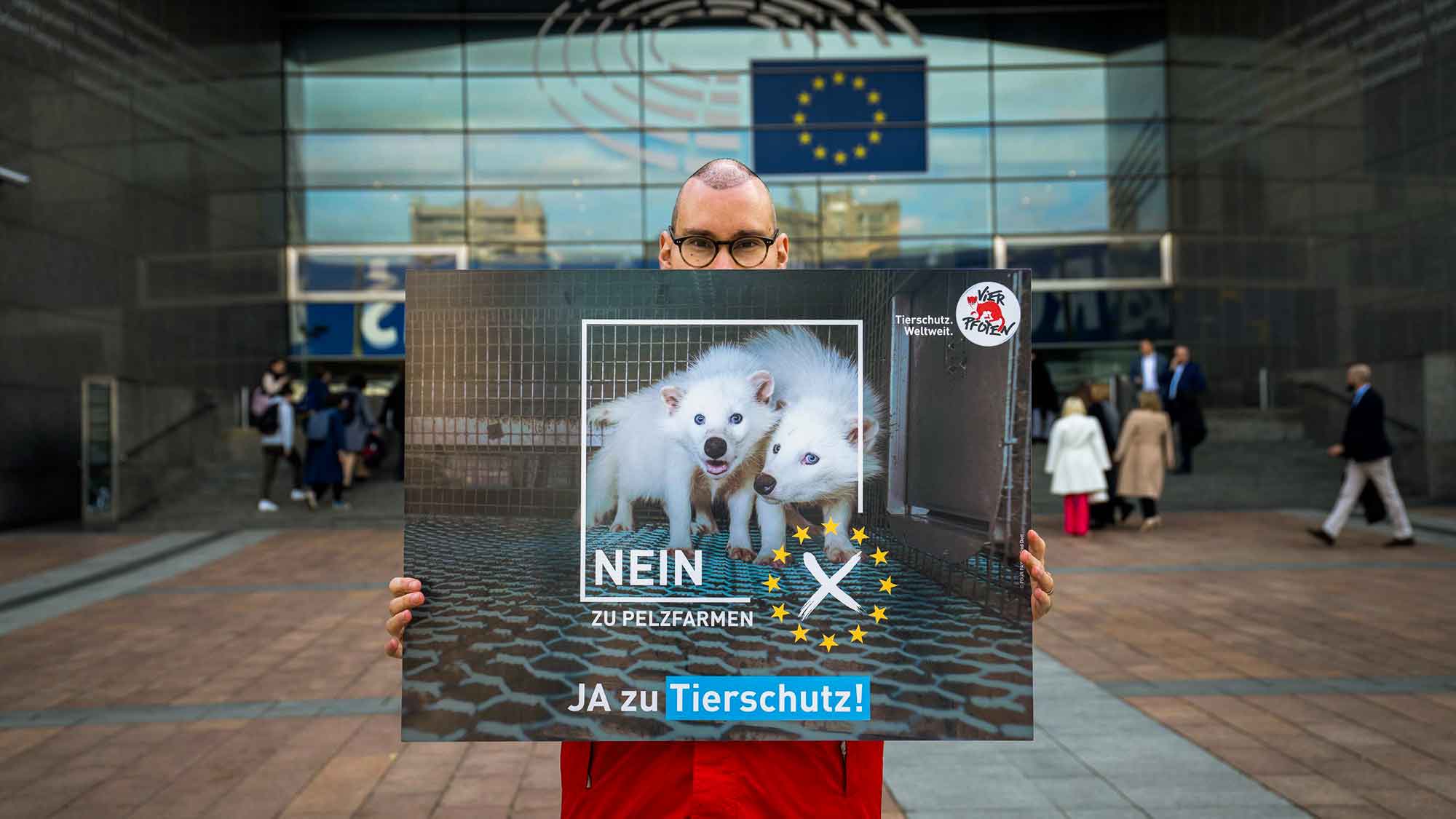 »Vier Pfoten«, Stiftung für Tierschutz: Europawahl 2024 – das sind die fünf größten Versäumnisse der EU in Sachen Tierschutz »Vier Pfoten«, Stiftung für Tierschutz: Europawahl 2024 – das sind die fünf größten Versäumnisse der EU in Sachen Tierschutz