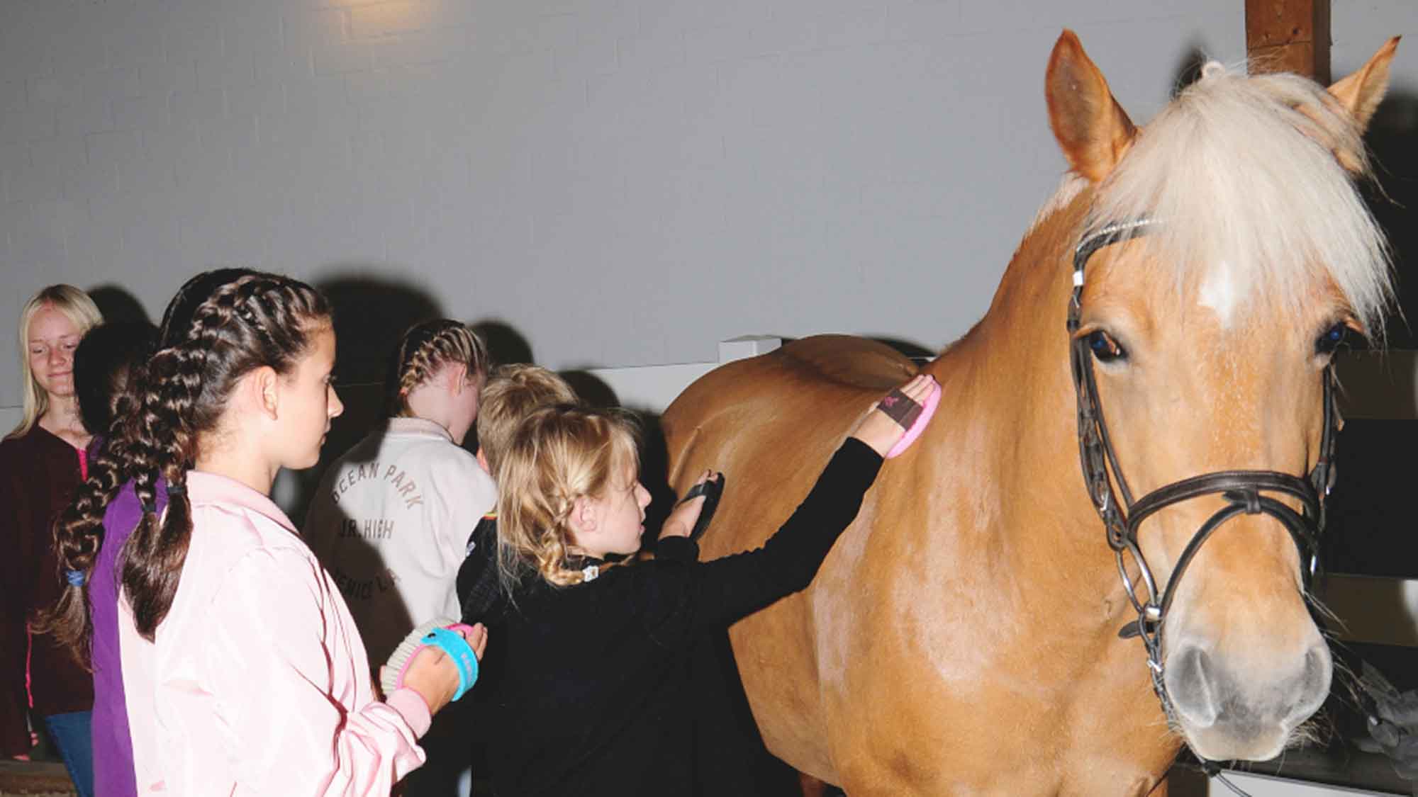 Gütersloh Pferde News: »Ran ans Pferd!« – beliebte Kinder Aktion im Westfälischen Pferdemuseum ist zurück, 27. April 2024 Gütersloh Pferde News: »Ran ans Pferd!« – beliebte Kinder Aktion im Westfälischen Pferdemuseum ist zurück, 27. April 2024