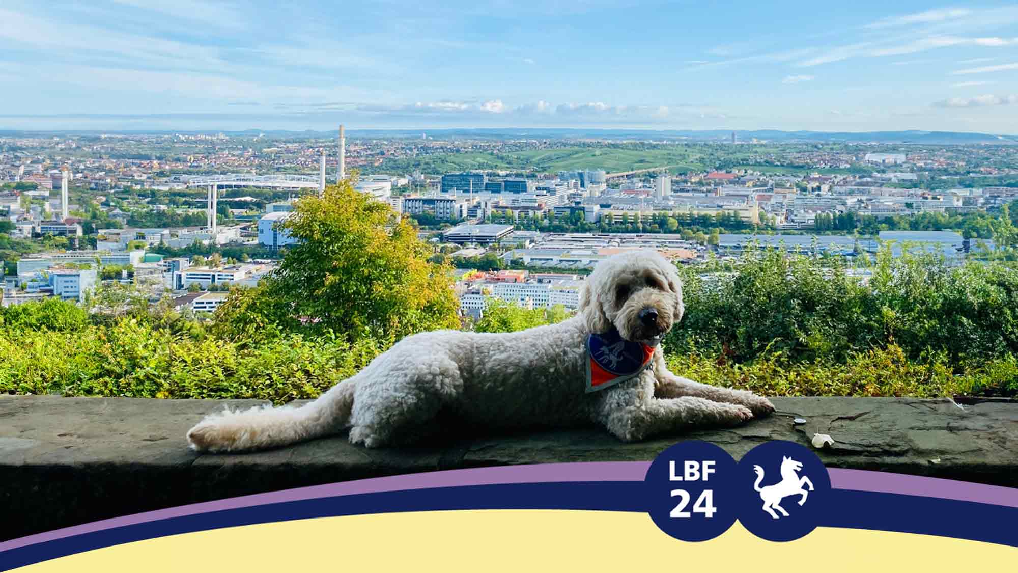 Barrierefreiheit großgeschrieben: der SWR beim Louis Braille Festival in Stuttgart (3. bis 5. Mai 2024)