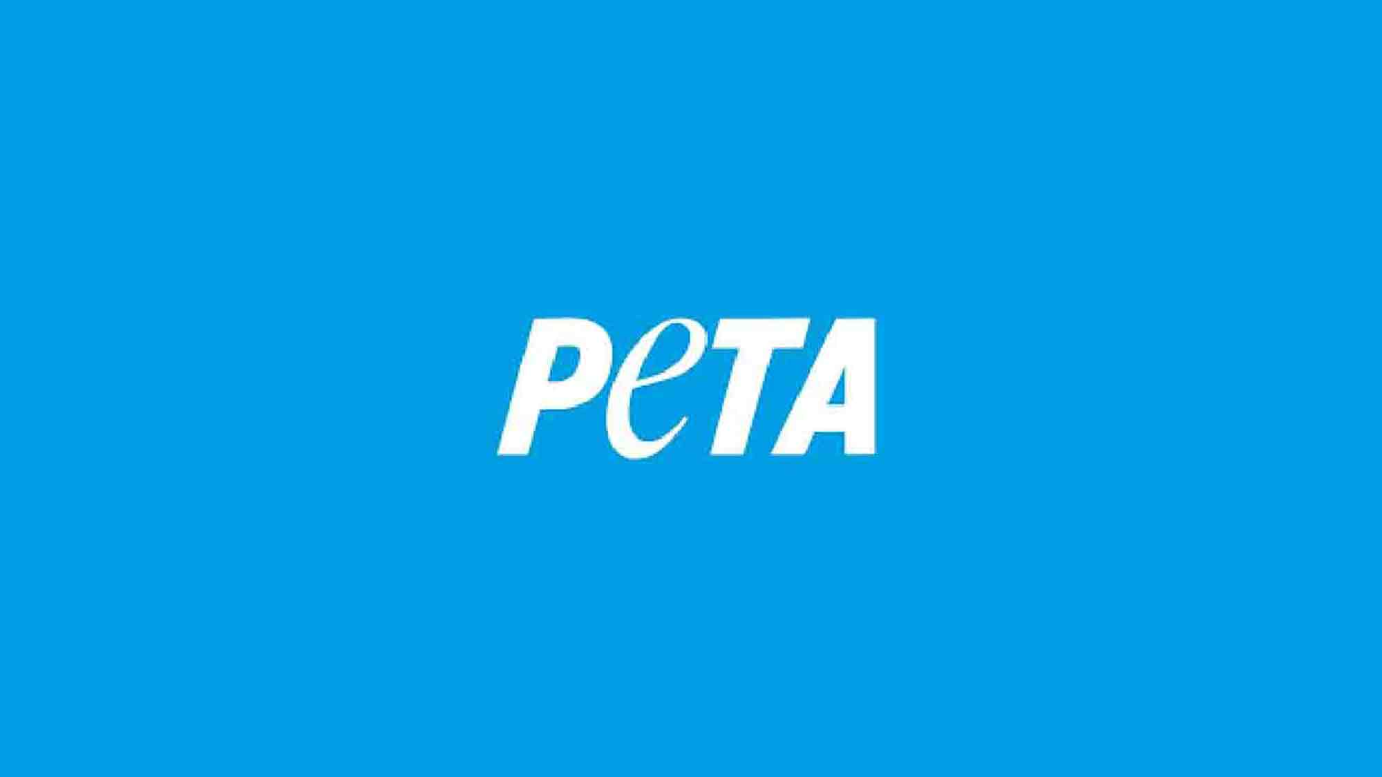 Peta: Augenwischerei statt Tierschutz – Lobbyisten zerreißen Tierschutznovelle in der Luft, Özdemir schaut zu Peta: Augenwischerei statt Tierschutz – Lobbyisten zerreißen Tierschutznovelle in der Luft, Özdemir schaut zu
