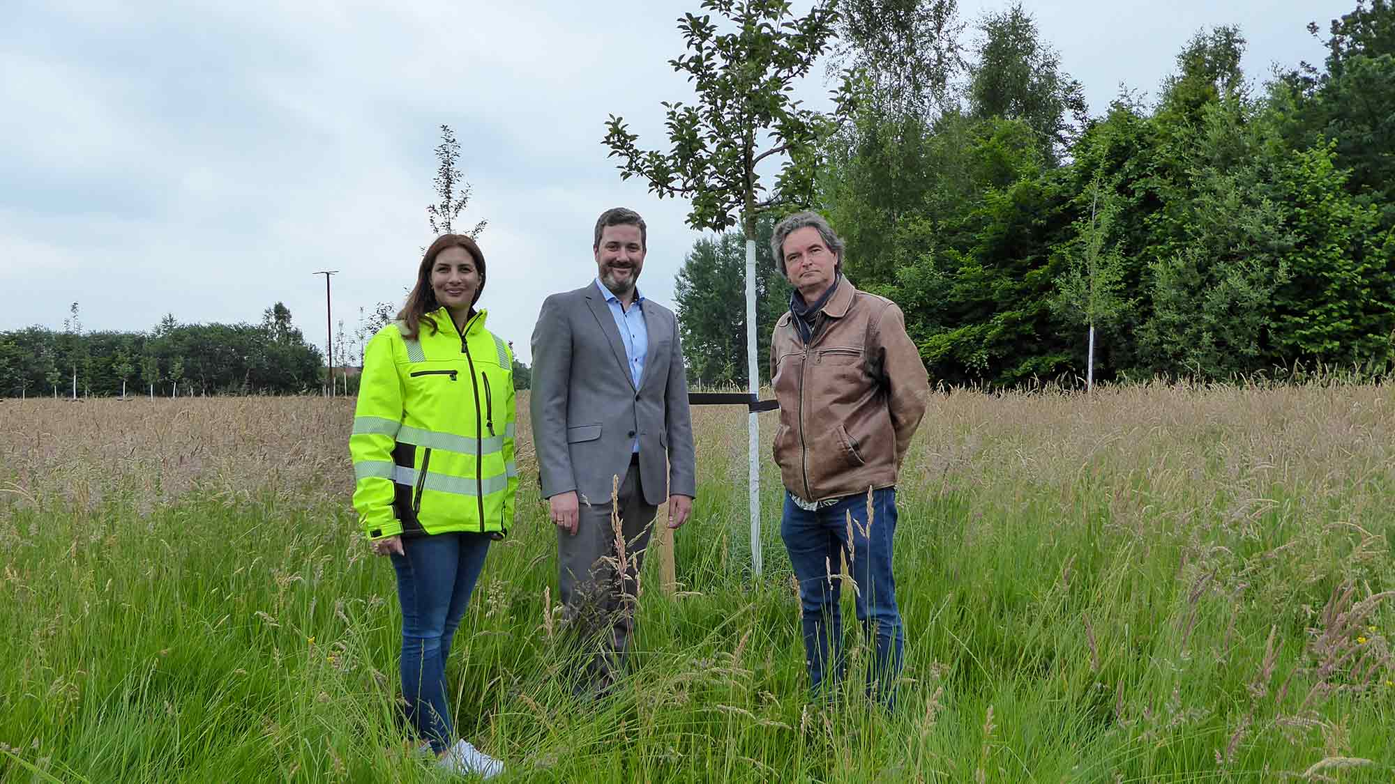 Ausgleichsfläche für Regenrückhaltebecken, Streuobstwiese mit regionalen Obstsorten in Herzebrock Clarholz eingerichtet Ausgleichsfläche für Regenrückhaltebecken, Streuobstwiese mit regionalen Obstsorten in Herzebrock Clarholz eingerichtet