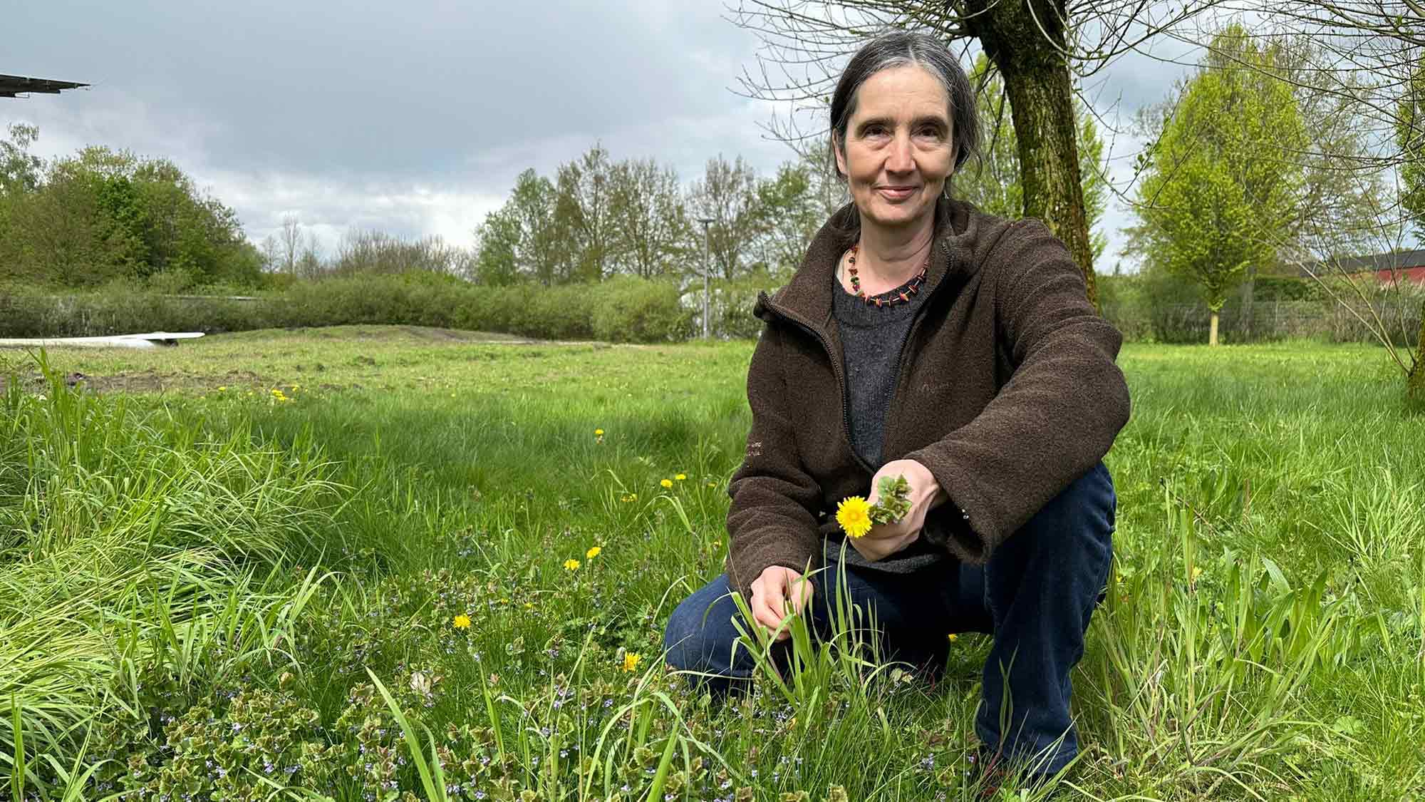 Gartenschaupark Rietberg, hier dreht sich alles um das Thema Wildkräuter: neuer Workshop am 4. Juli 2024