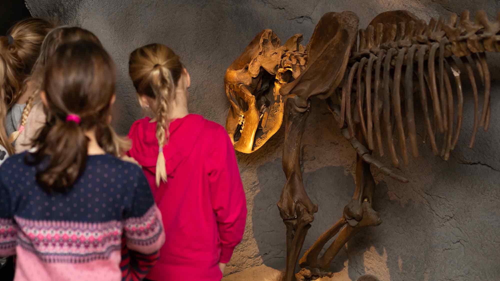 »Kinderclub mit Lotta« im Sauerland Museum Arnsberg für Grundschulkinder von 6 bis 9 Jahren »Kinderclub mit Lotta« im Sauerland Museum Arnsberg für Grundschulkinder von 6 bis 9 Jahren