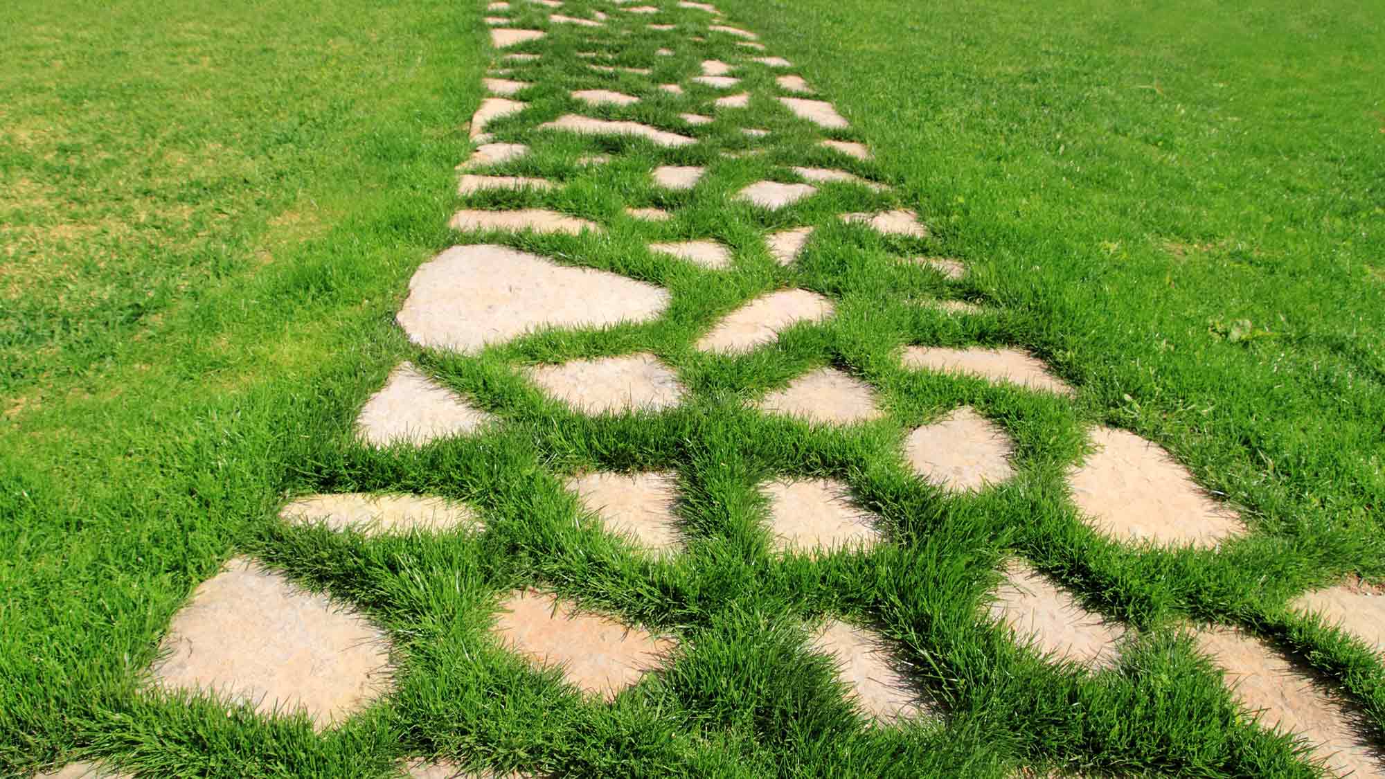 #Verbraucherzentrale #Nordrhein #Westfalen: Grün gegen Grau – was #Entsiegelung rund ums Haus bringt #Verbraucherzentrale #Nordrhein #Westfalen: Grün gegen Grau – was #Entsiegelung rund ums Haus bringt