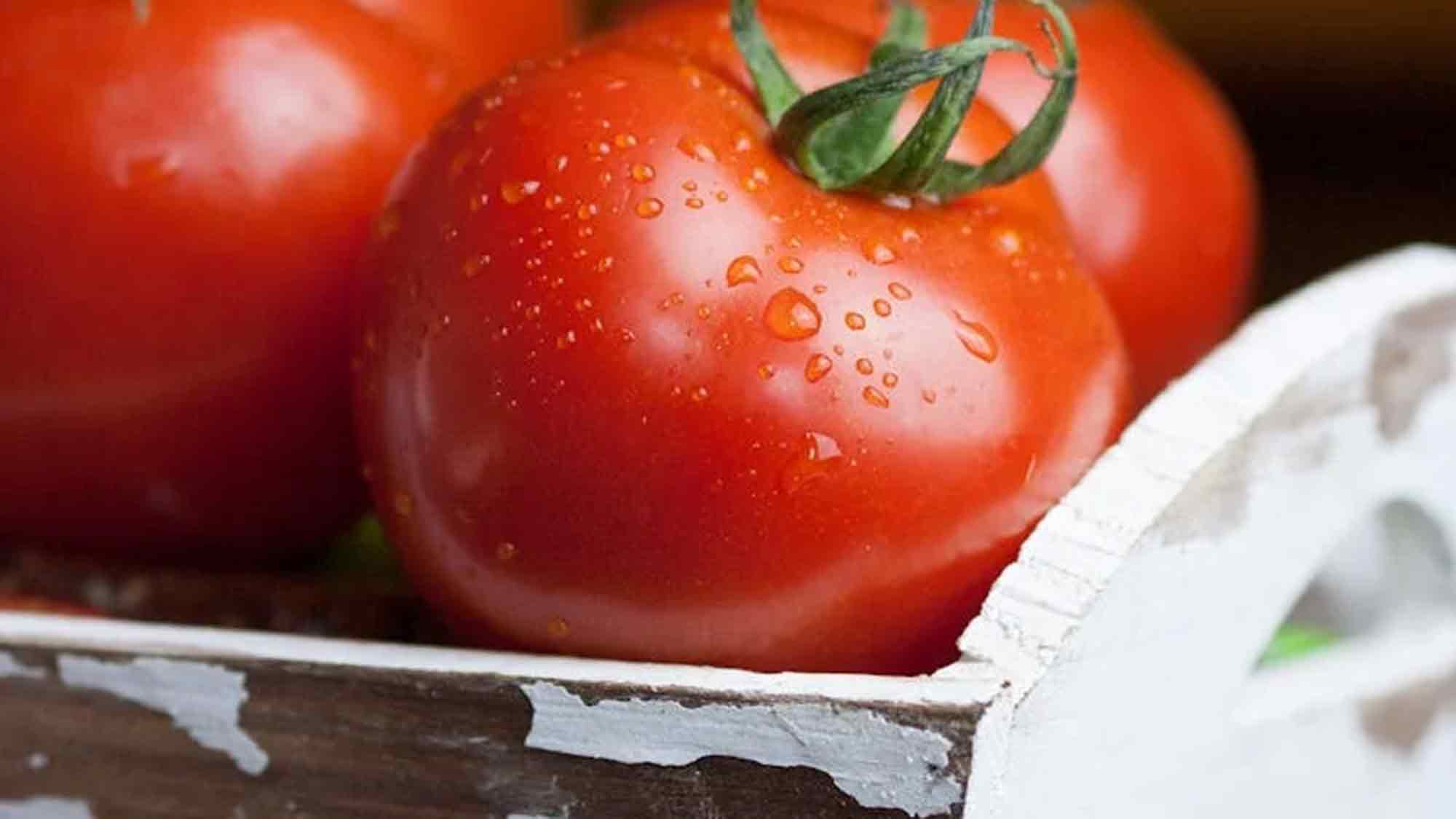 #Landwirtschaftskammer Nordrhein Westfalen: #Braugerste, Hanftag 2024 in Haus Düsse, #Kühe, #Tomaten #Landwirtschaftskammer Nordrhein Westfalen: #Braugerste, Hanftag 2024 in Haus Düsse, #Kühe, #Tomaten