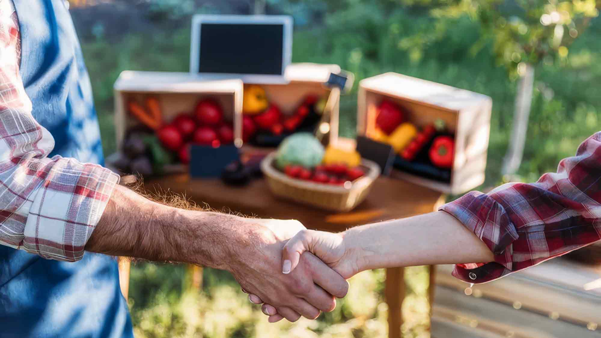 Düsser Bauernmarkt am 8. September 2024, freie Ausbildungsplätze in den Agrarberufen und in der Hauswirtschaft, Rhododendren vor Zikaden schützen Düsser Bauernmarkt am 8. September 2024, freie Ausbildungsplätze in den Agrarberufen und in der Hauswirtschaft, Rhododendren vor Zikaden schützen