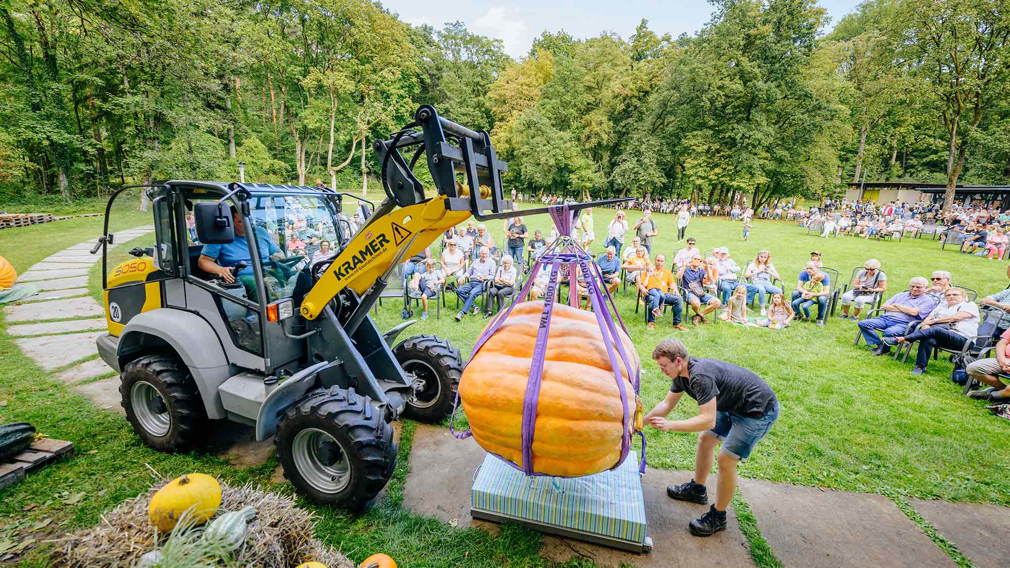 Wiegemeisterschaft der Riesenkürbisse in der Gartenschau: unterhaltsamer Event für die ganze Familie am 22. September 2024 in Bad Lippspringe Wiegemeisterschaft der Riesenkürbisse in der Gartenschau: unterhaltsamer Event für die ganze Familie am 22. September 2024 in Bad Lippspringe