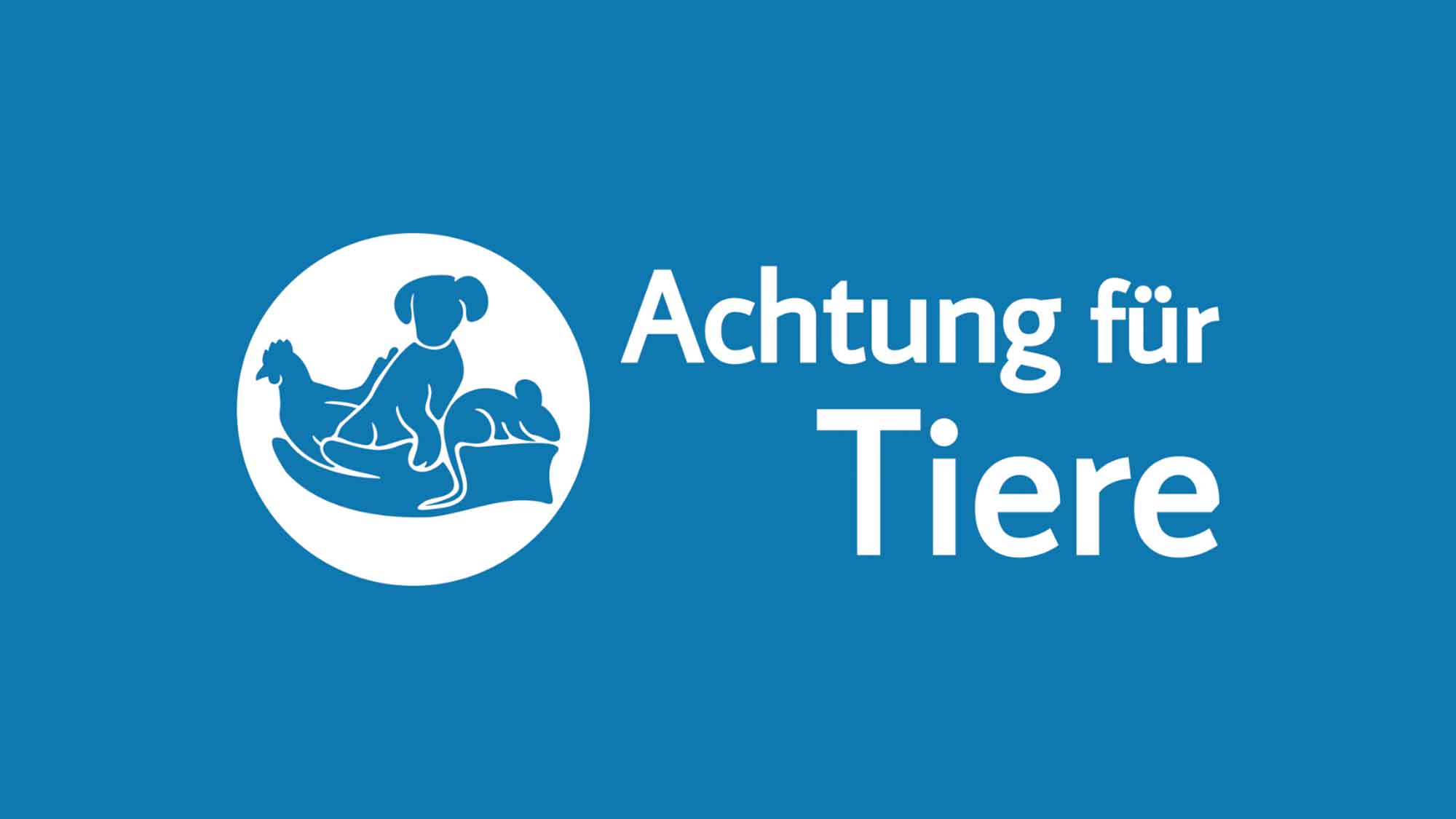 Tierschutz rein in Kita und Schule: »Achtung für Tiere« Rietberg bietet kostenloses Pilotprojekt Tierschutz rein in Kita und Schule: »Achtung für Tiere« Rietberg bietet kostenloses Pilotprojekt