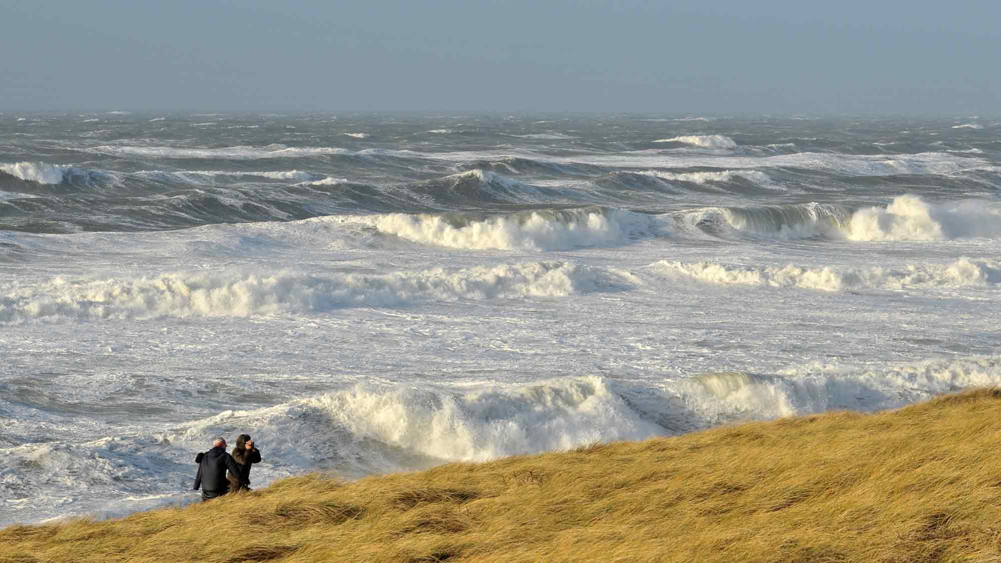 Sylt: ein Zuhause für die Literatur, Langes Literaturwochenende der Privathotels Sylt (»LIWO«), 5. bis 10. November 2024 Sylt: ein Zuhause für die Literatur, Langes Literaturwochenende der Privathotels Sylt (»LIWO«), 5. bis 10. November 2024