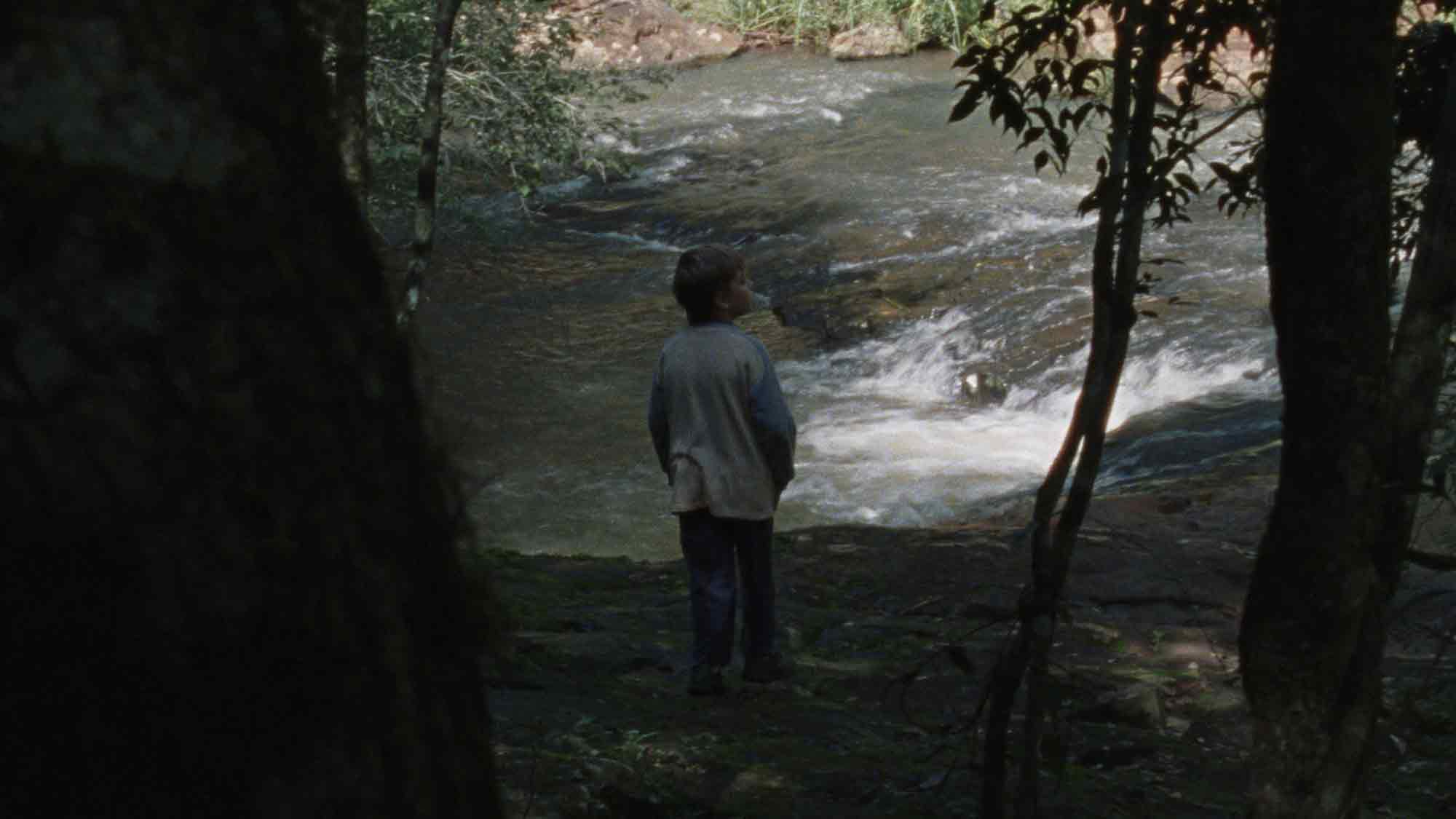 Deutscher Kurzfilmpreis 2024: KHM Diplomfilm über Waldzerstörung für »Goldene Lola« nominiert Deutscher Kurzfilmpreis 2024: KHM Diplomfilm über Waldzerstörung für »Goldene Lola« nominiert