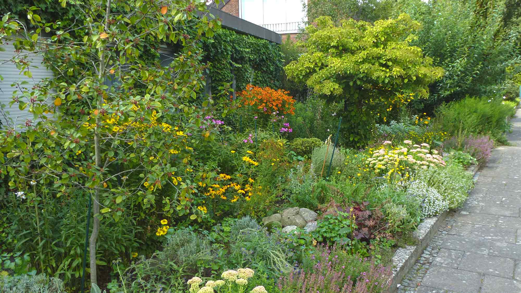 Gütersloh: Insektenfreundliche Vorgartengestaltung und der Vogelzug im Klimawandel, 13. und 14. November 2024 Gütersloh: Insektenfreundliche Vorgartengestaltung und der Vogelzug im Klimawandel, 13. und 14. November 2024
