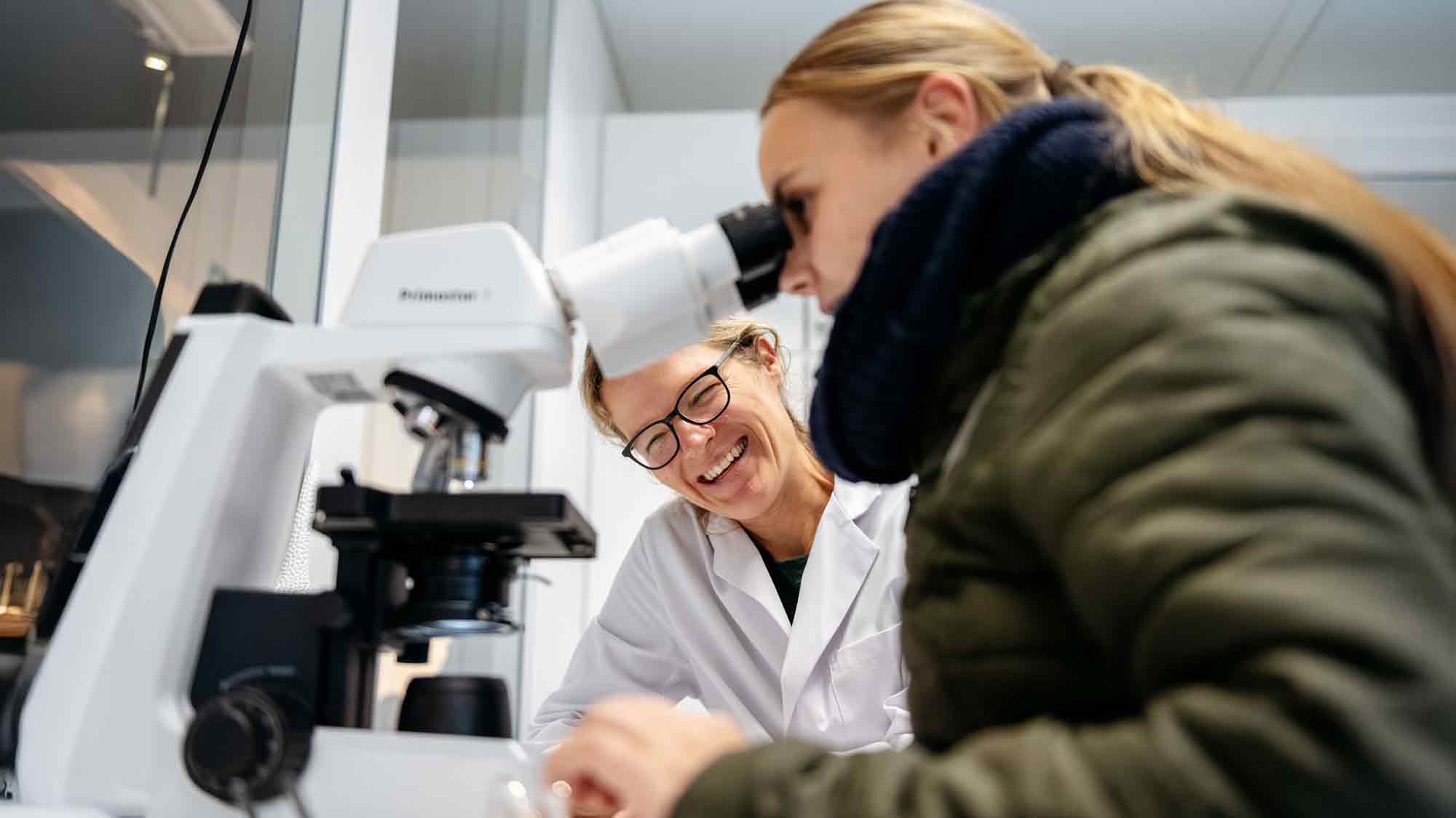 Noch Plätze frei: Experimente für kleine Forscher, Gene Workshop im LWL Museum für Naturkunde, 7. Dezember 2024 Noch Plätze frei: Experimente für kleine Forscher, Gene Workshop im LWL Museum für Naturkunde, 7. Dezember 2024