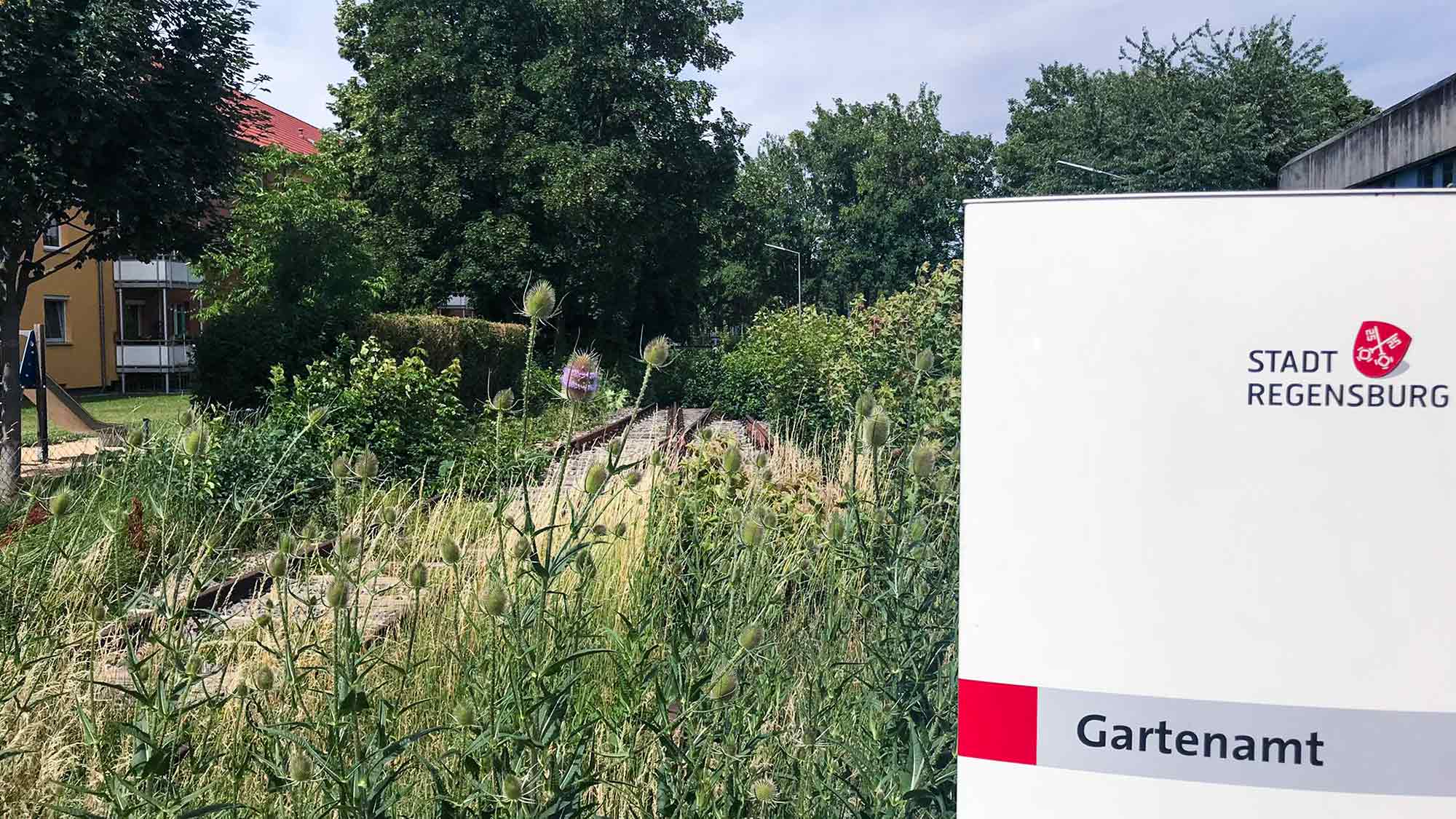 Stadt Regensburg prüft Erstellung einer Unterkunft für die historische Straßenbahn am Gleis in der Guerickestraße