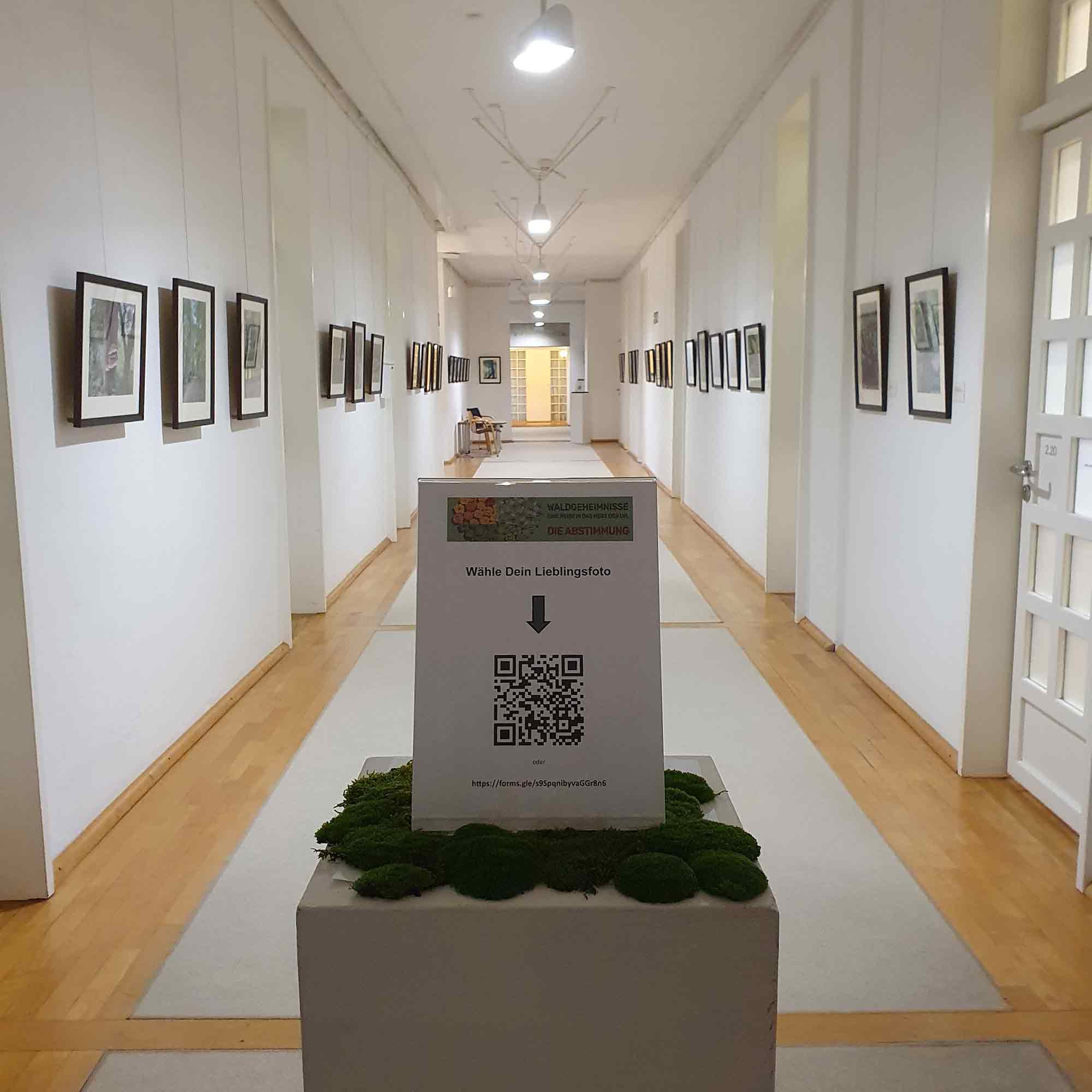 Mitarbeiter des Landesverbandes Lippe zeigen im Schloss Brake Fotos aus Wäldern, 13. Dezember 2024 bis 31. Januar 2025 Mitarbeiter des Landesverbandes Lippe zeigen im Schloss Brake Fotos aus Wäldern, 13. Dezember 2024 bis 31. Januar 2025