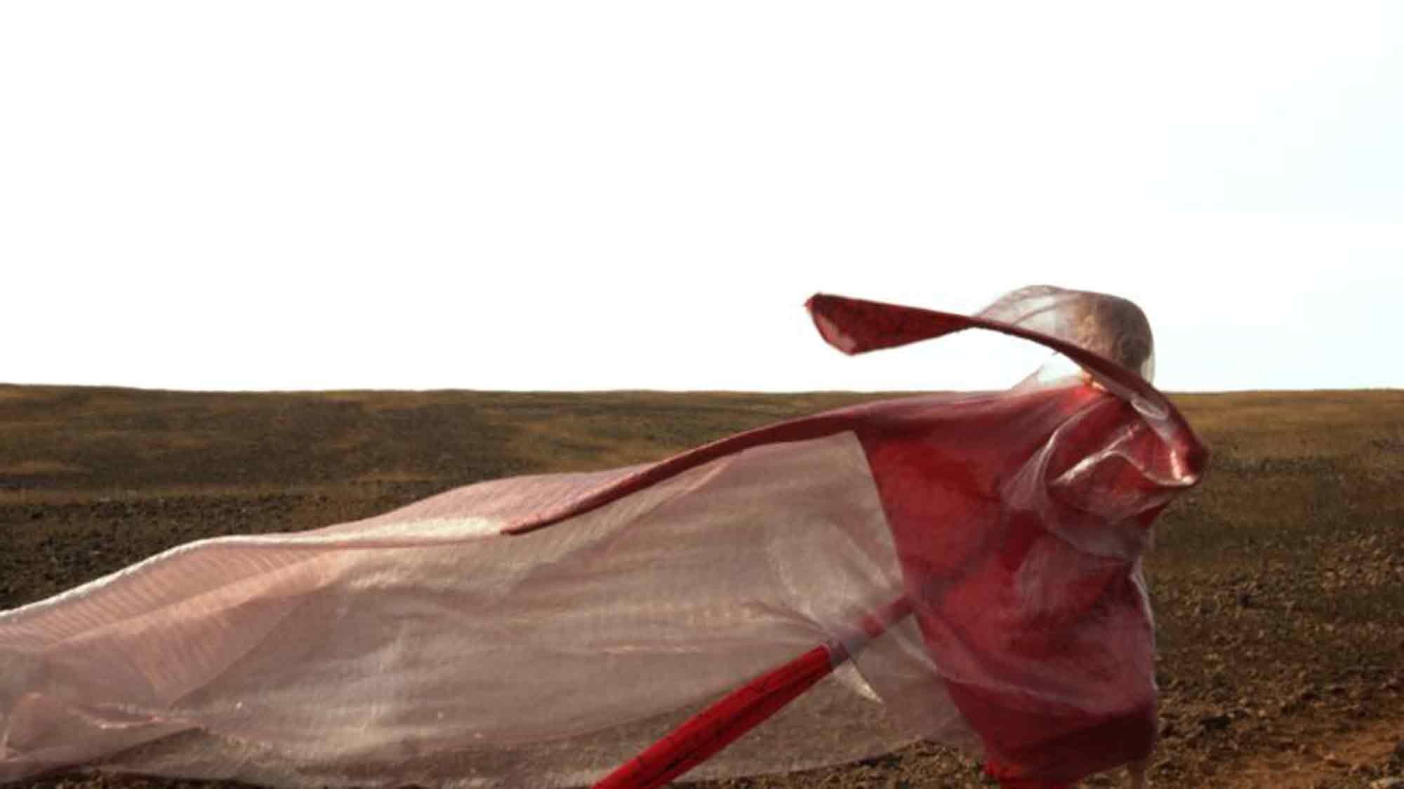 Neue Ausstellung im #Diözesanmuseum Paderborn zeigt zeitgenössische #Kunst: »Before The Wind – der letzte Gesang der Sirene«, 28. März bis 30. September 2025 Neue Ausstellung im #Diözesanmuseum Paderborn zeigt zeitgenössische #Kunst: »Before The Wind – der letzte Gesang der Sirene«, 28. März bis 30. September 2025